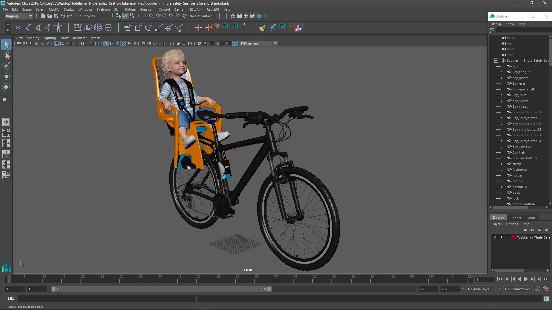 3D Toddler in Thule Safety Seat on Bike