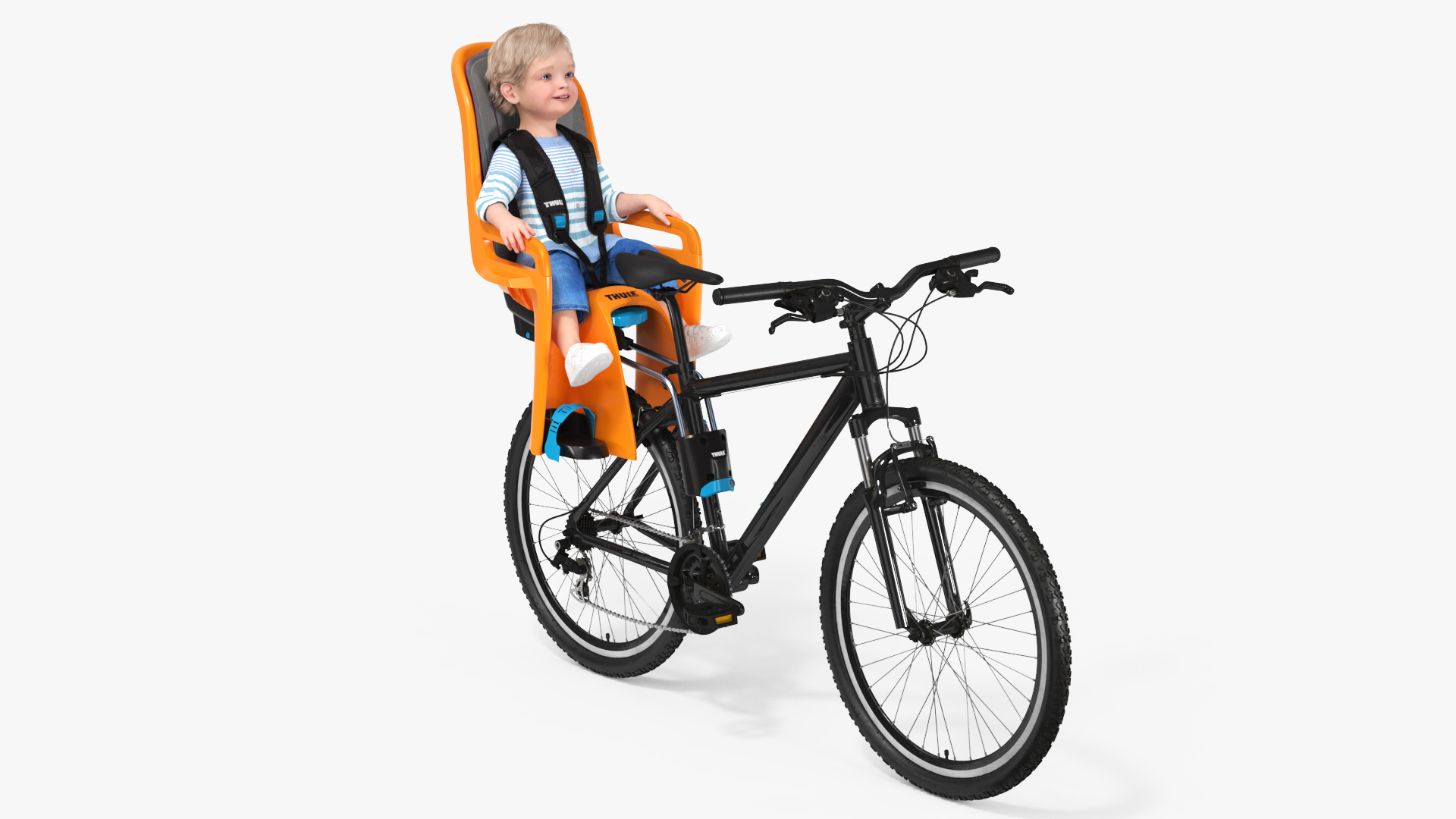 3D Toddler in Thule Safety Seat on Bike