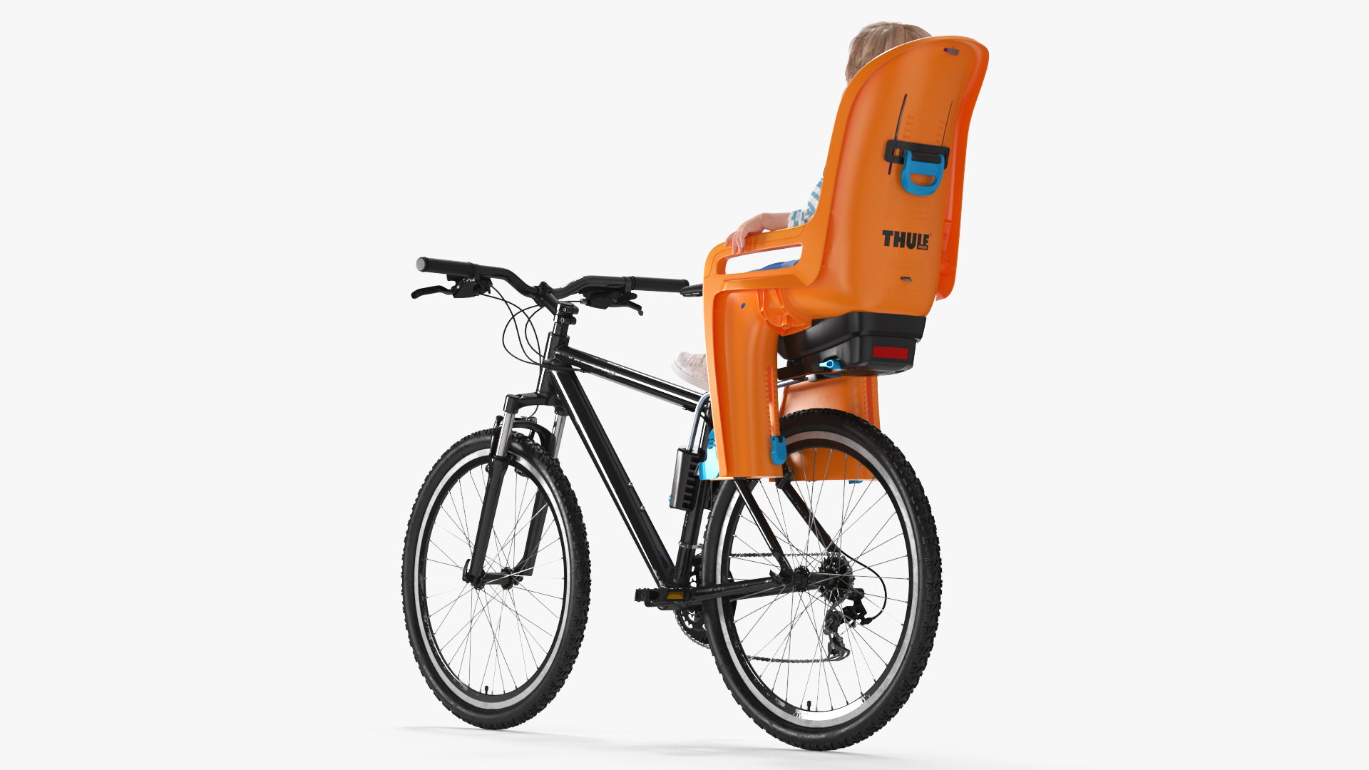 3D Toddler in Thule Safety Seat on Bike