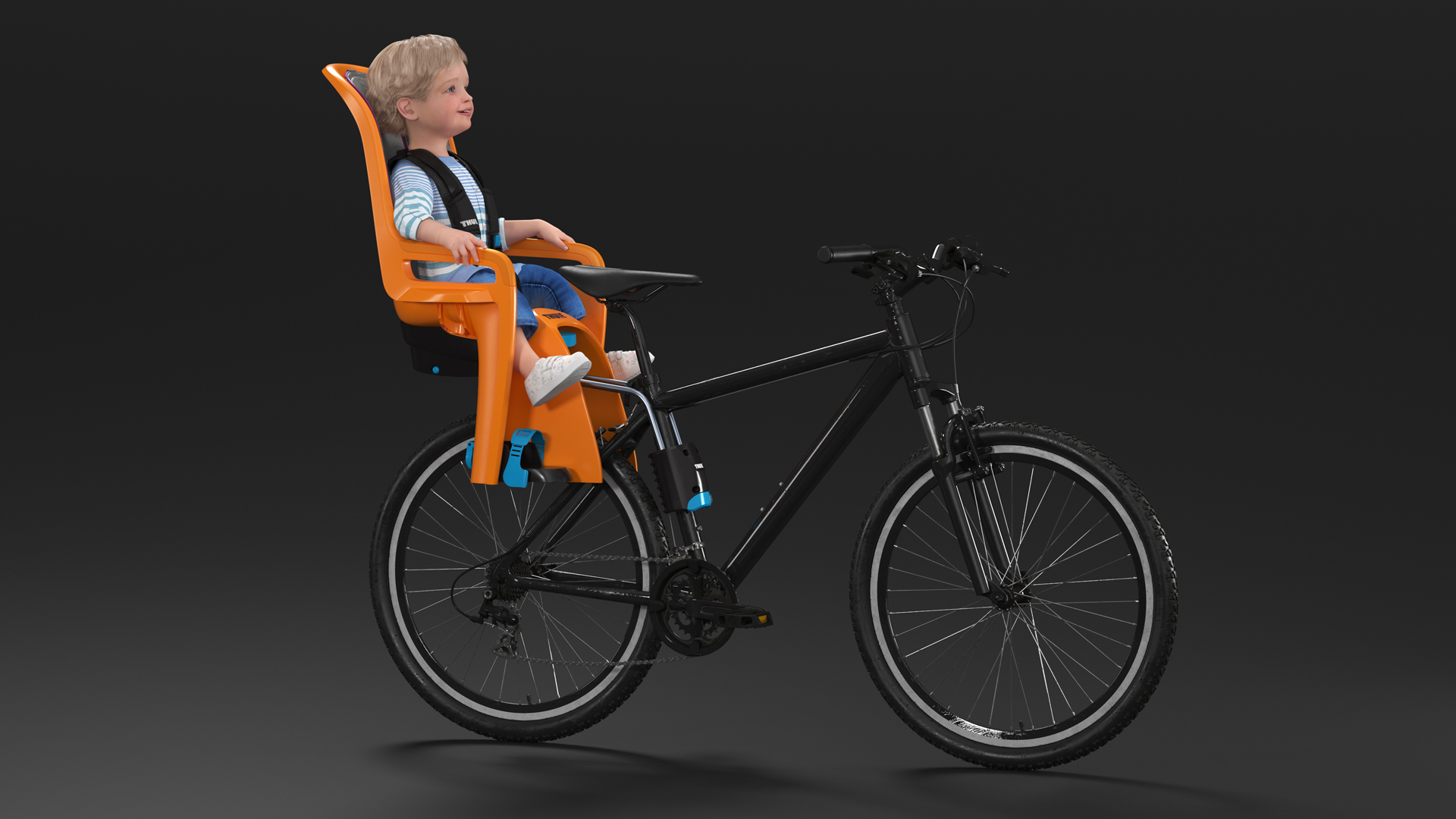 3D Toddler in Thule Safety Seat on Bike