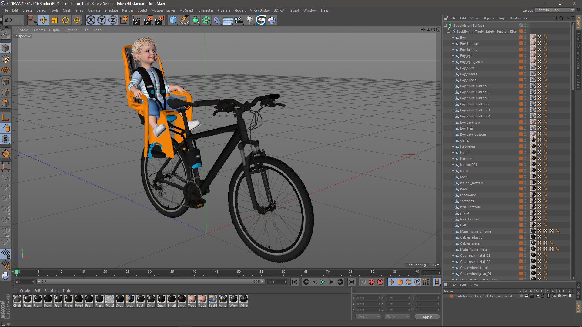 3D Toddler in Thule Safety Seat on Bike
