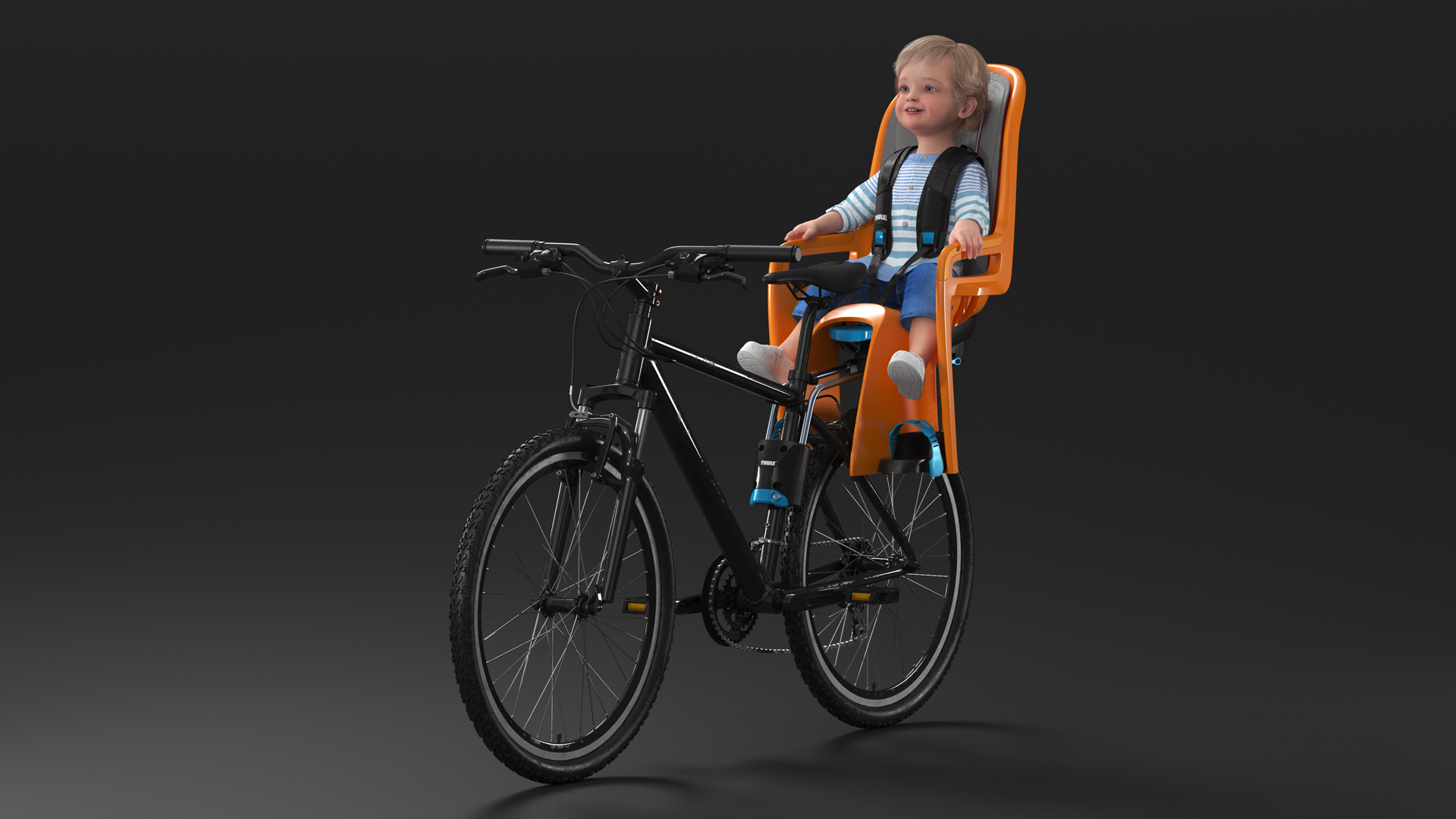 3D Toddler in Thule Safety Seat on Bike