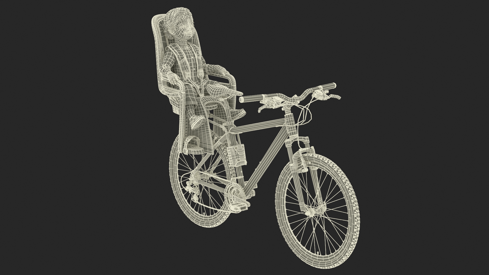 3D Toddler in Thule Safety Seat on Bike