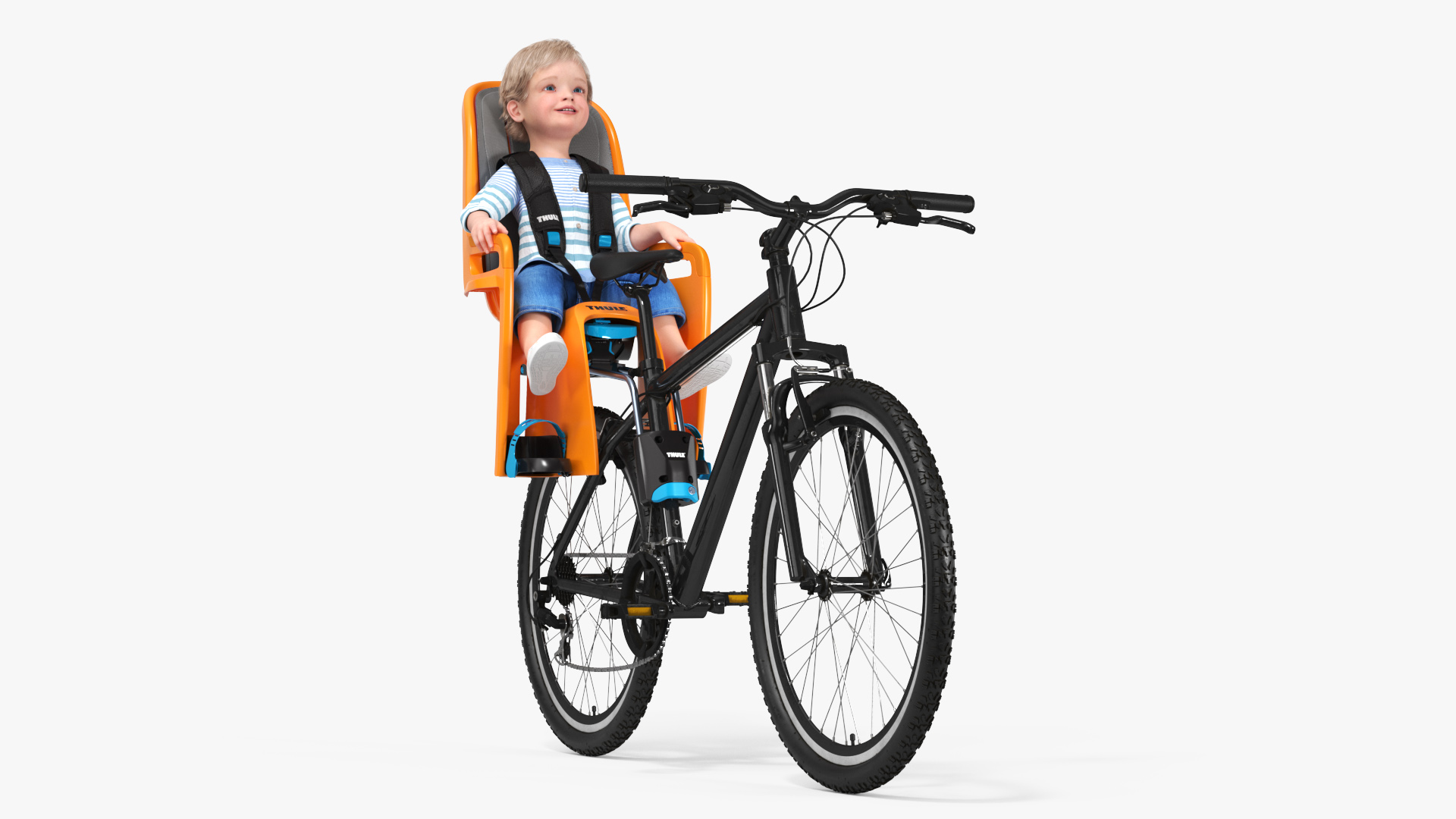 3D Toddler in Thule Safety Seat on Bike
