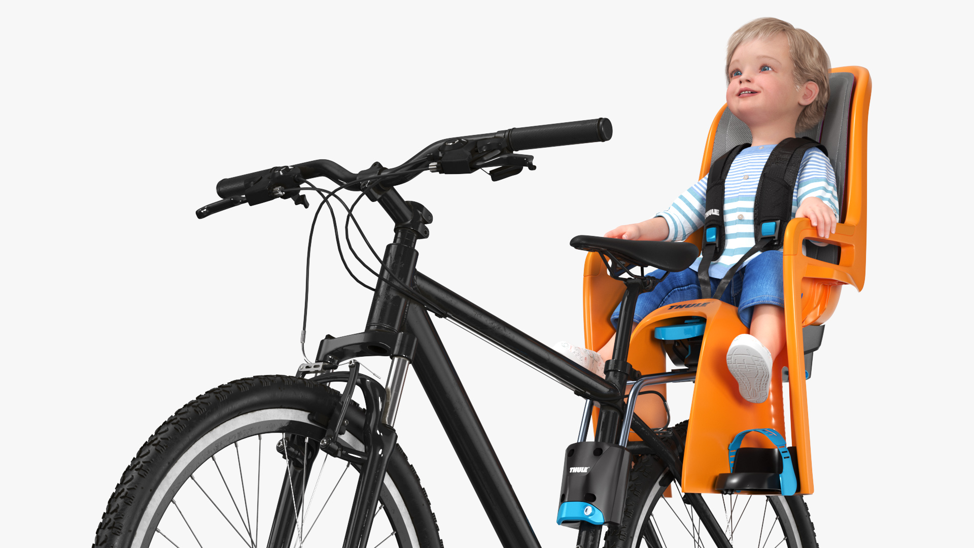 3D Toddler in Thule Safety Seat on Bike