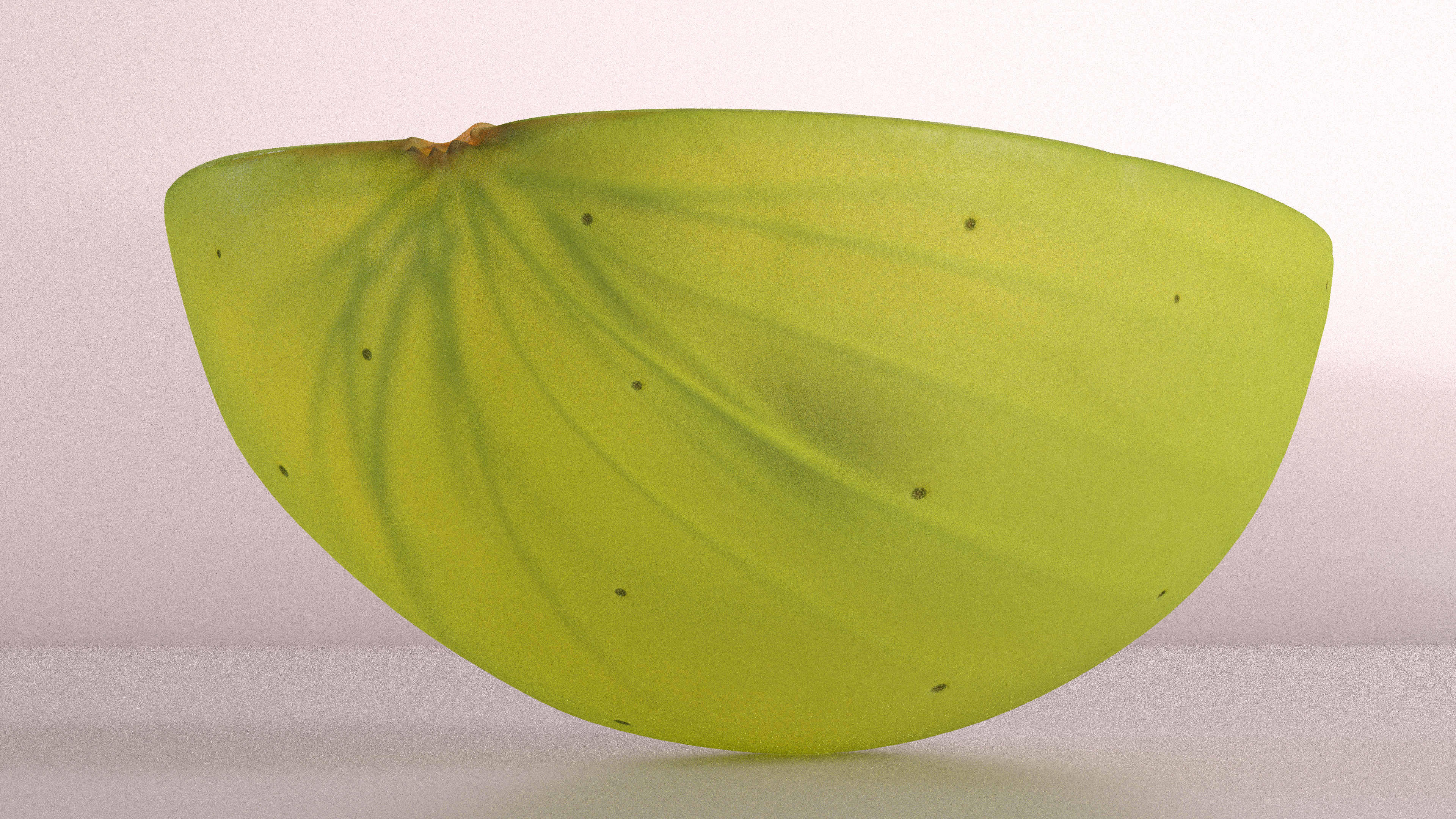 3D Translucent Slice of Green Grape Fruit model