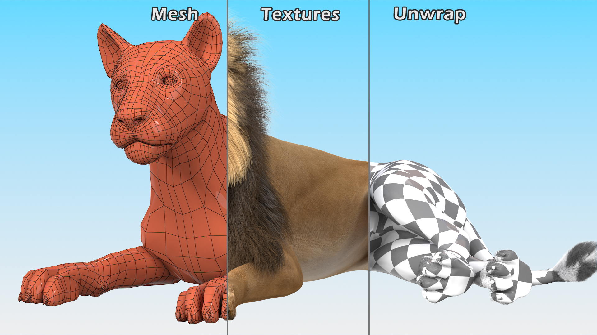 Lion Lying Pose Fur 3D model