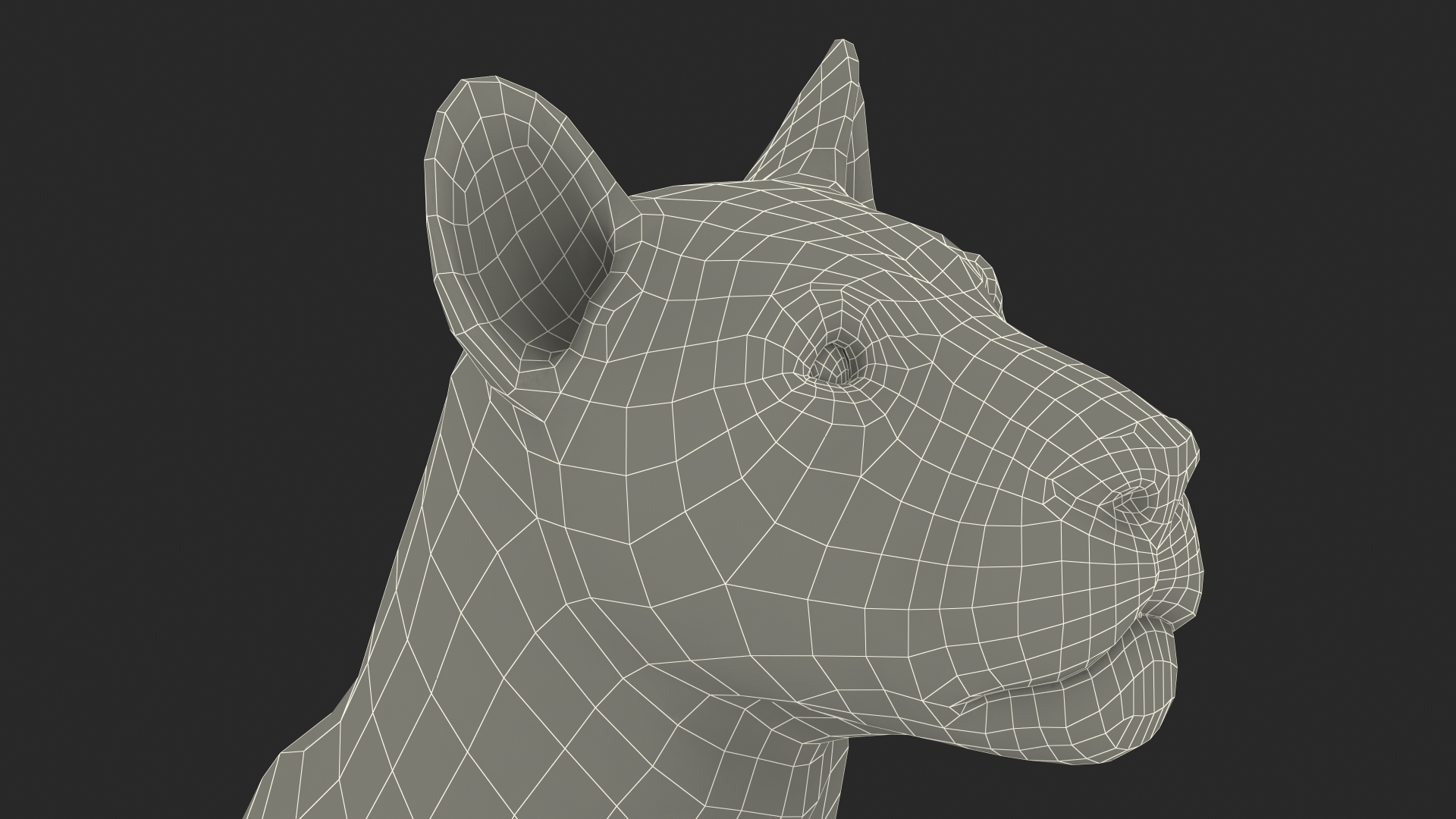 Lion Lying Pose Fur 3D model