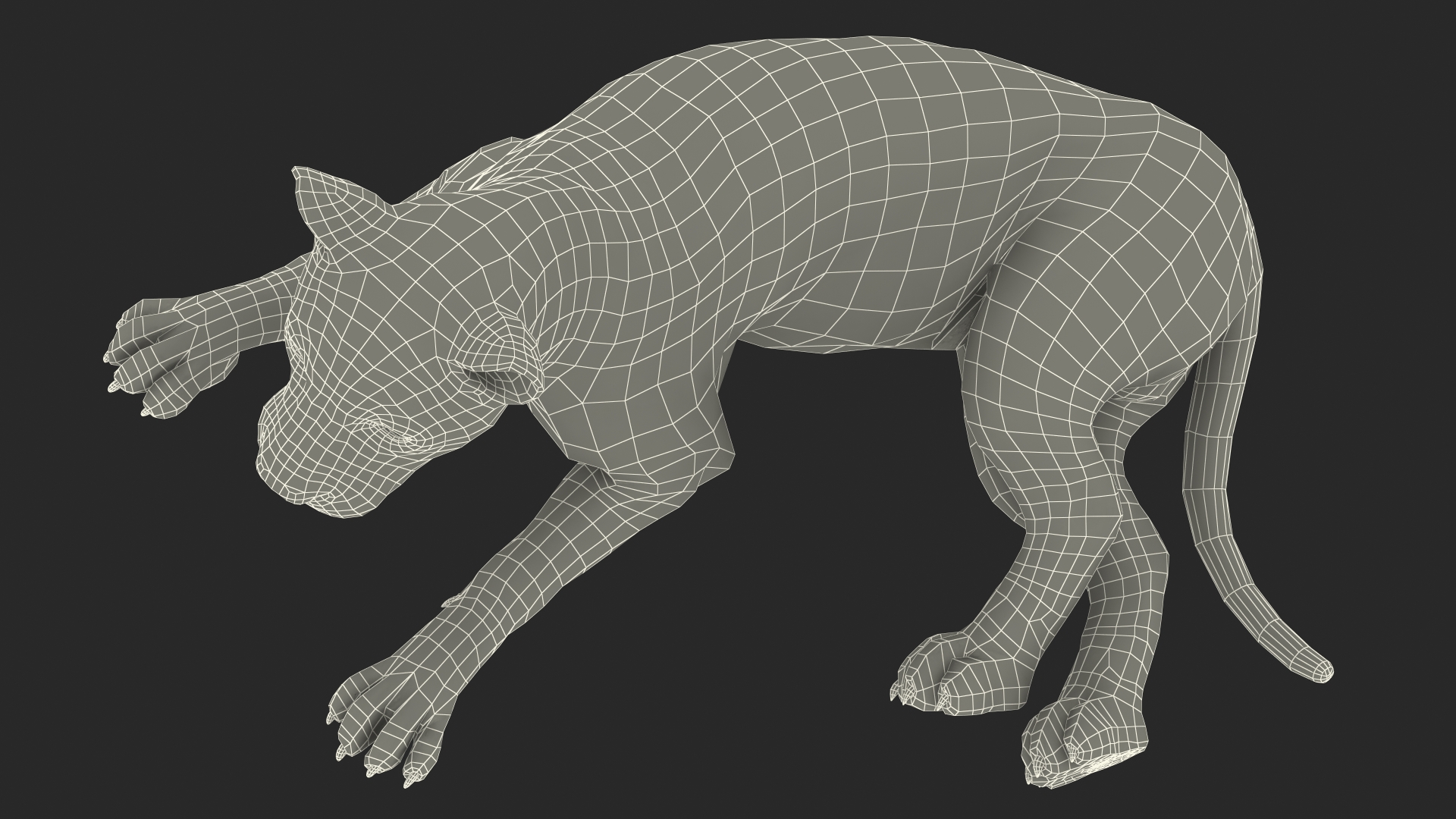 Lion Lying Pose Fur 3D model