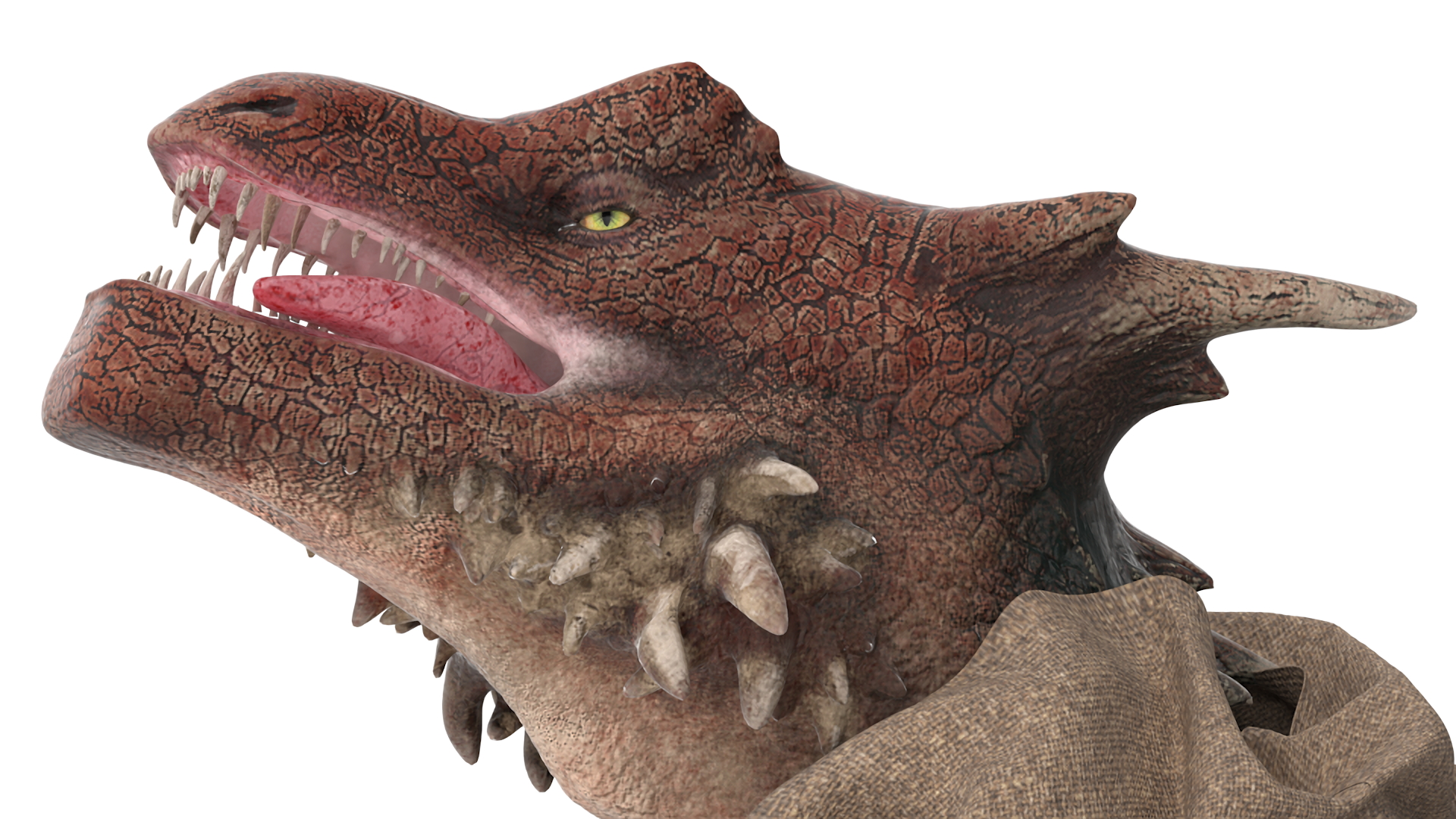 3D Dragon Head in Bag model