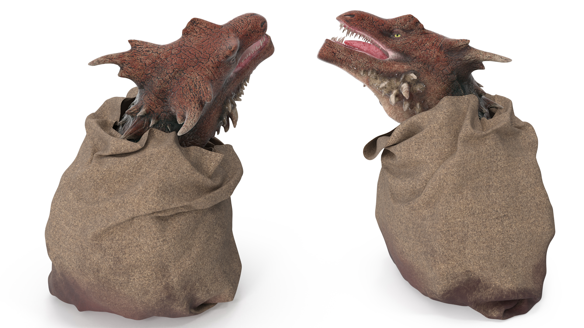 3D Dragon Head in Bag model