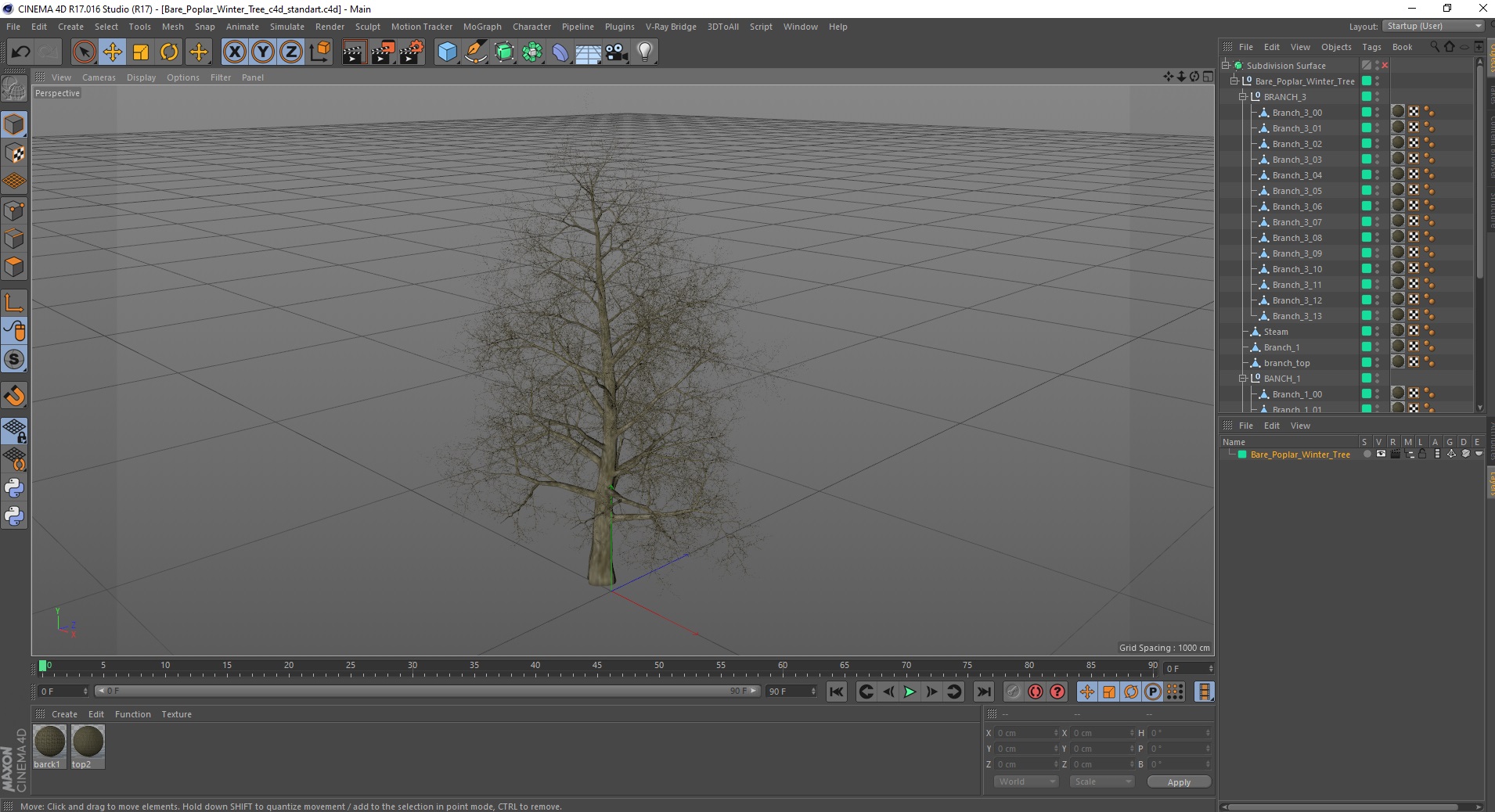 3D Bare Poplar Winter Tree model