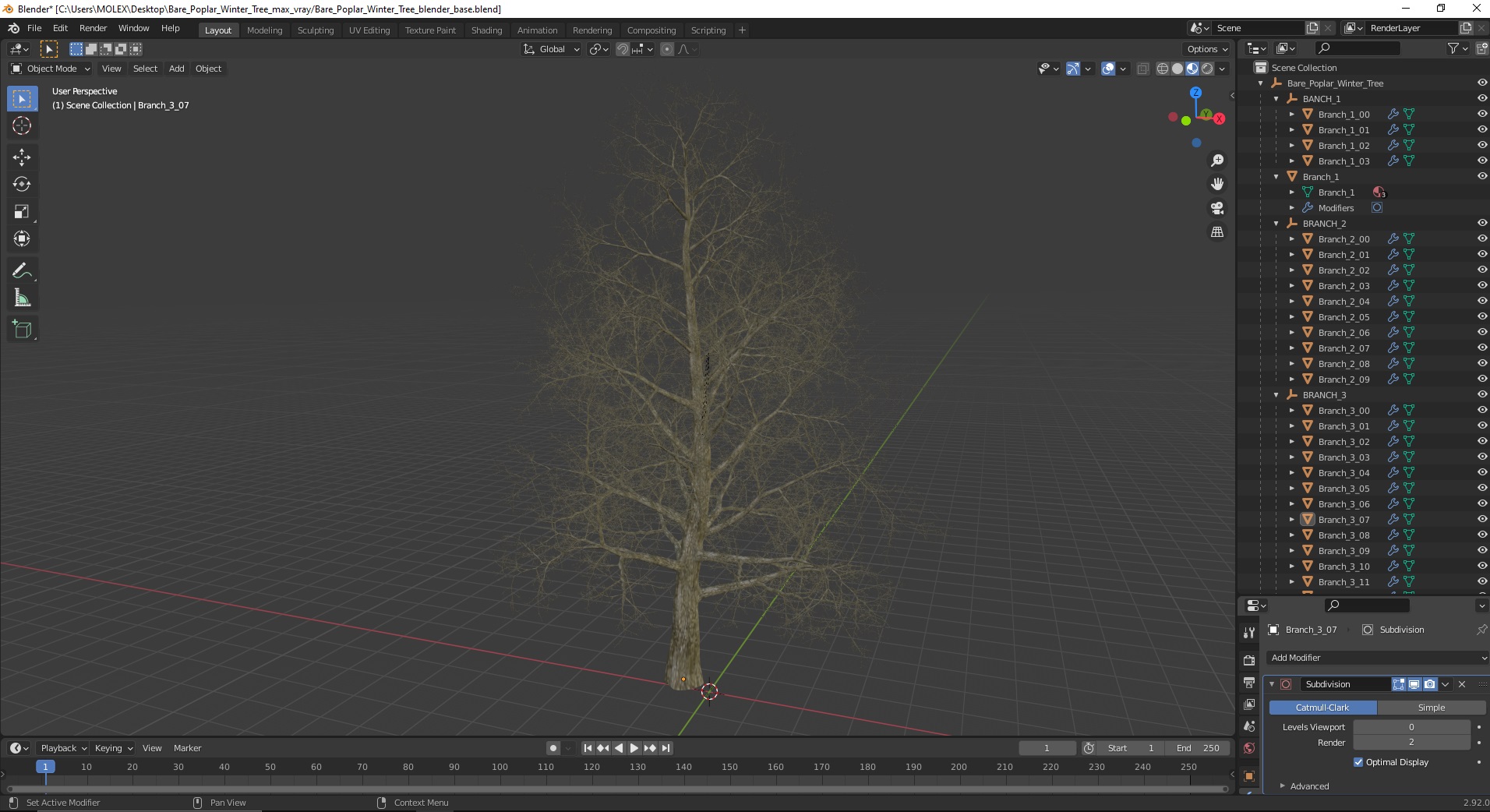 3D Bare Poplar Winter Tree model