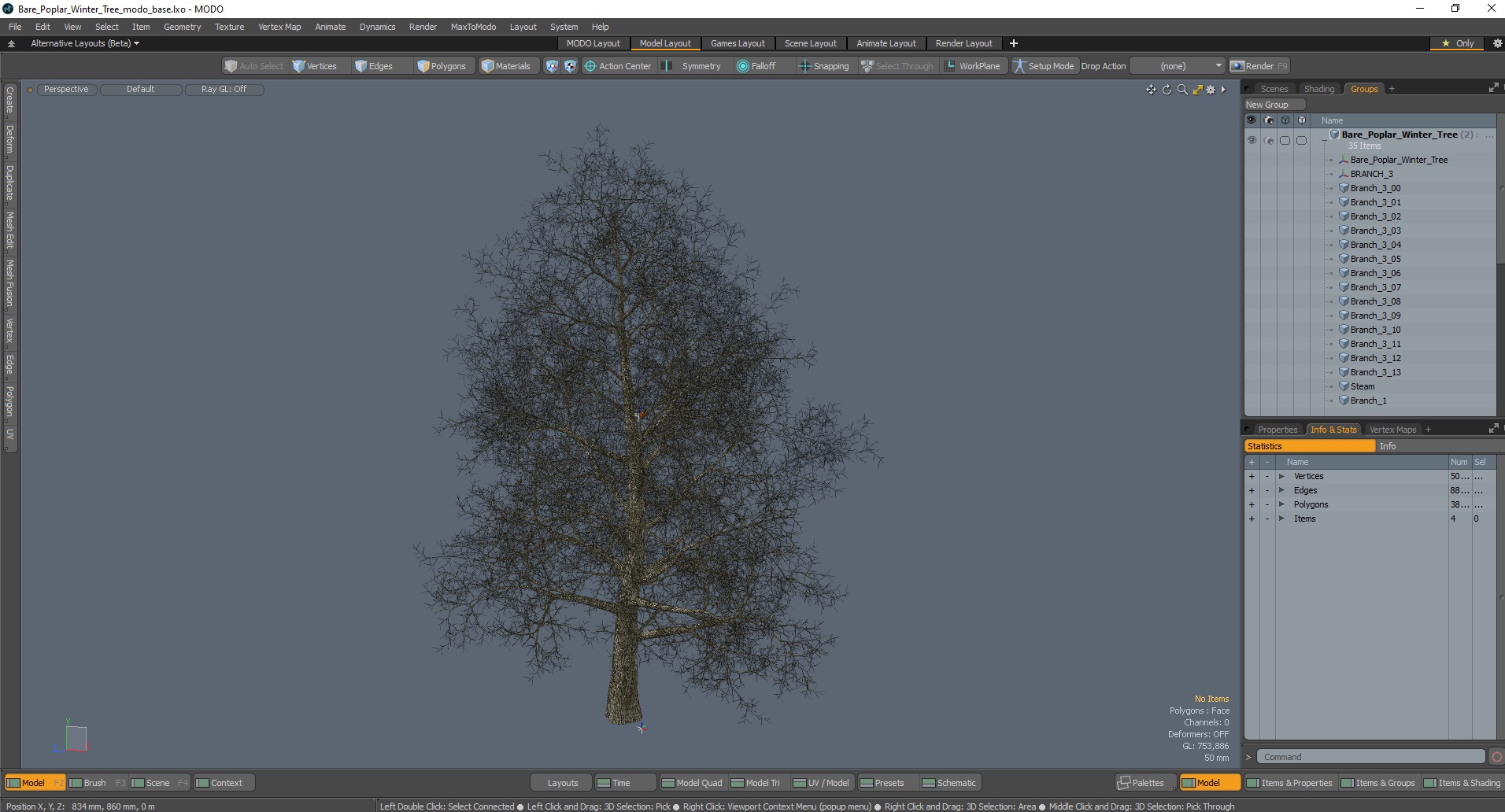 3D Bare Poplar Winter Tree model