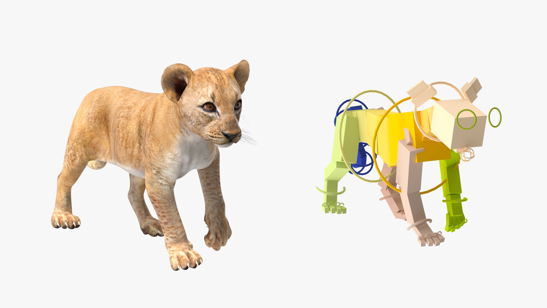 3D model Lion Cub Rigged