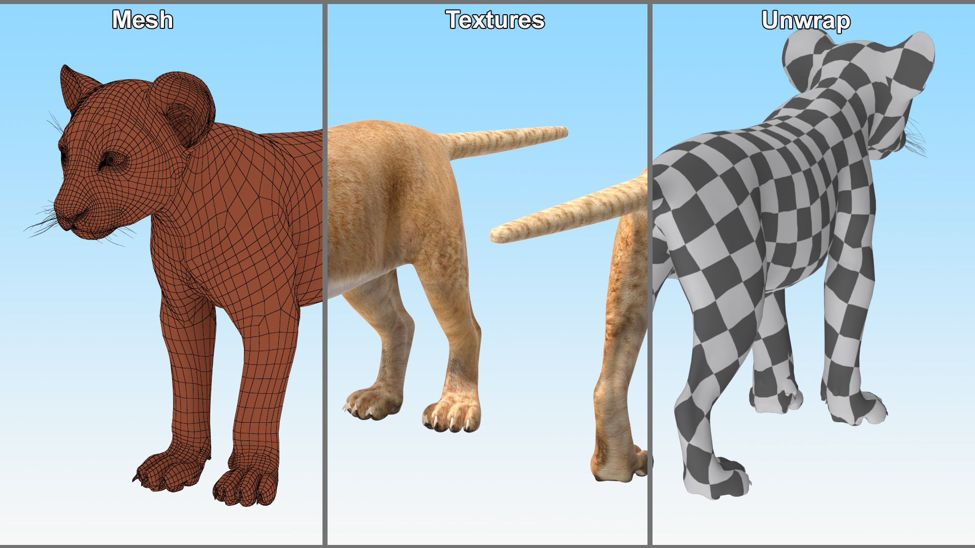 3D model Lion Cub Rigged