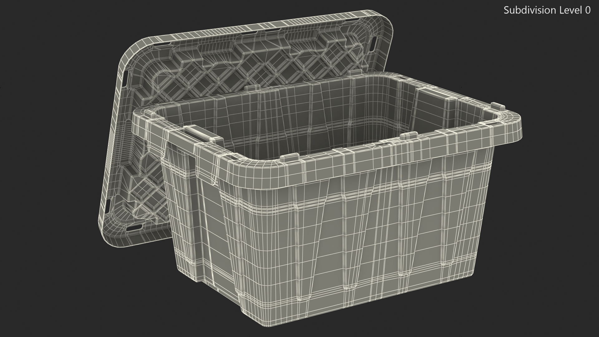 3D Tough Box Storage Tote with Lid