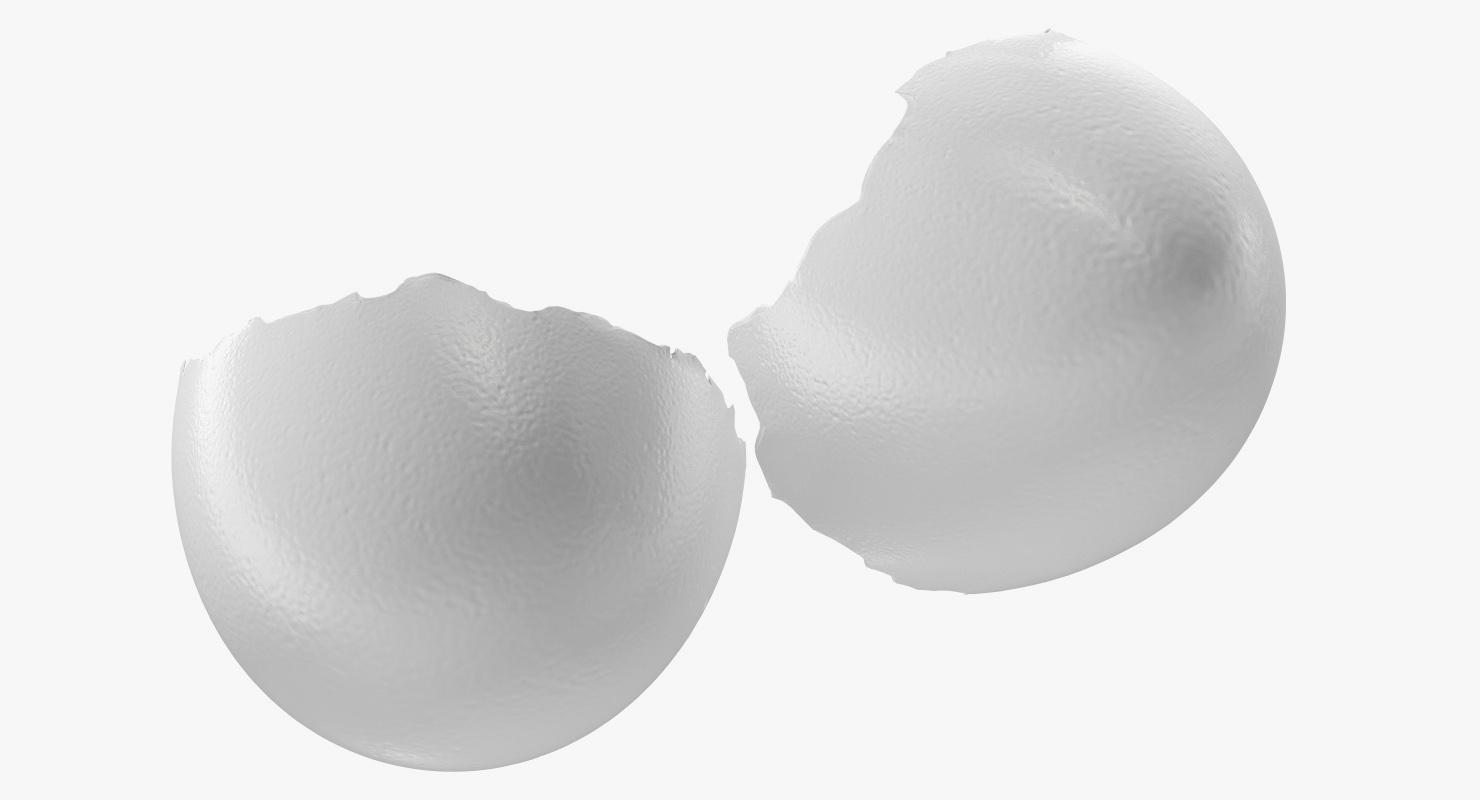 3D Broken White Egg