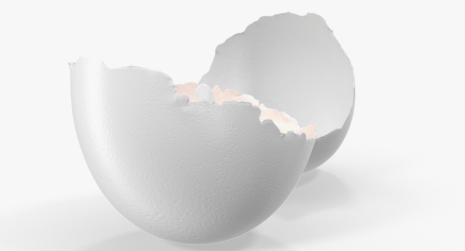 3D Broken White Egg