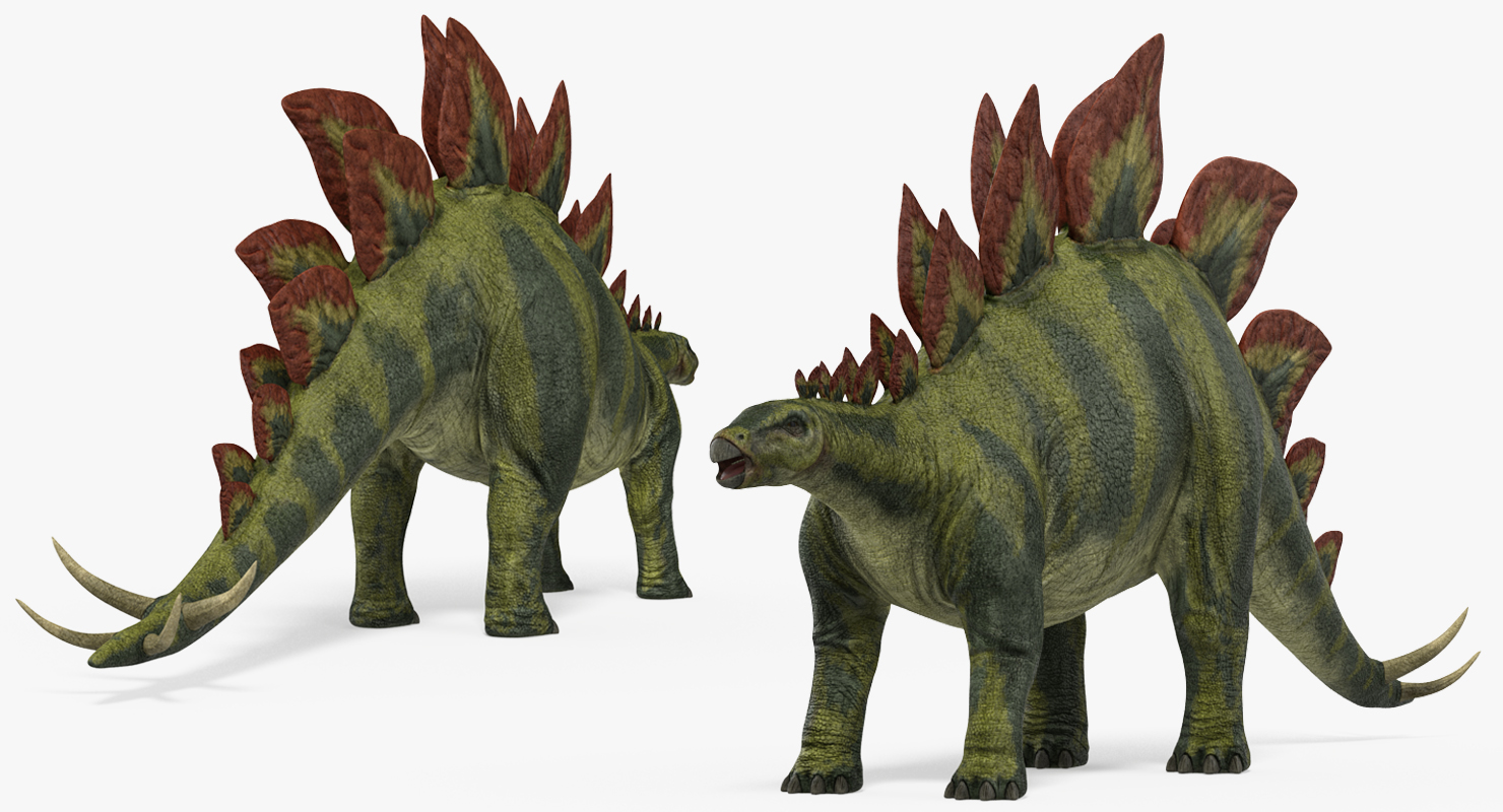 3D Stegosaurus