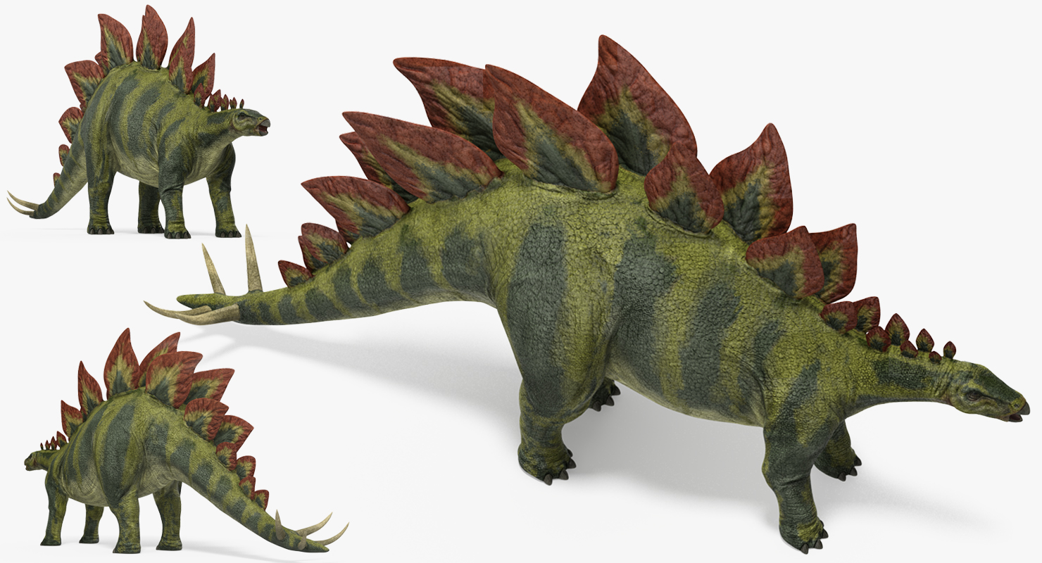 3D Stegosaurus