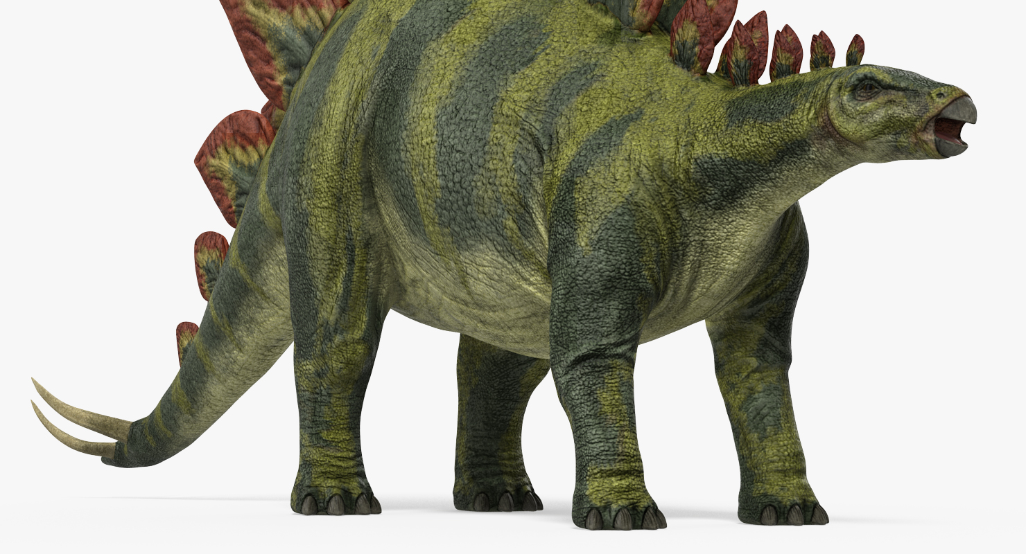 3D Stegosaurus