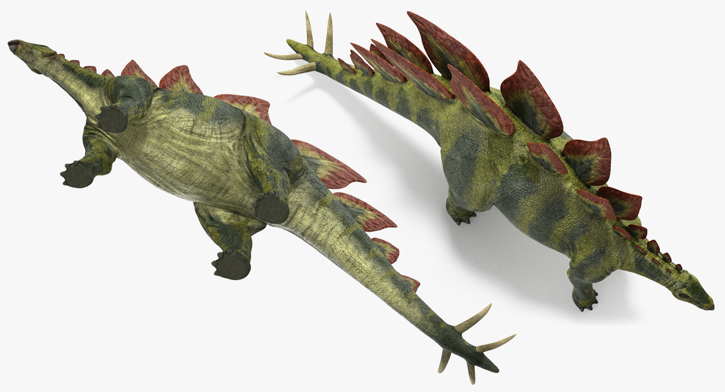 3D Stegosaurus