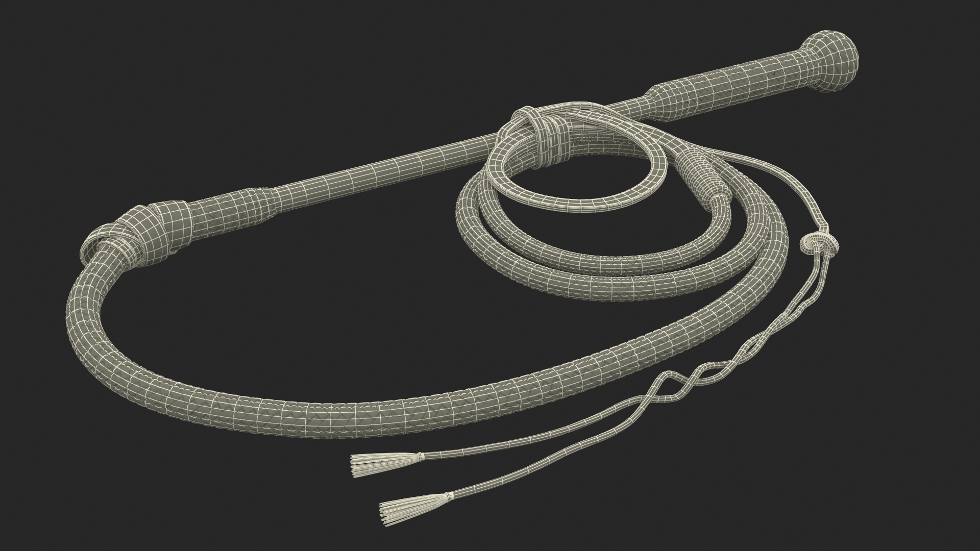 Leather Bullwhip Braided Black Rigged 3D