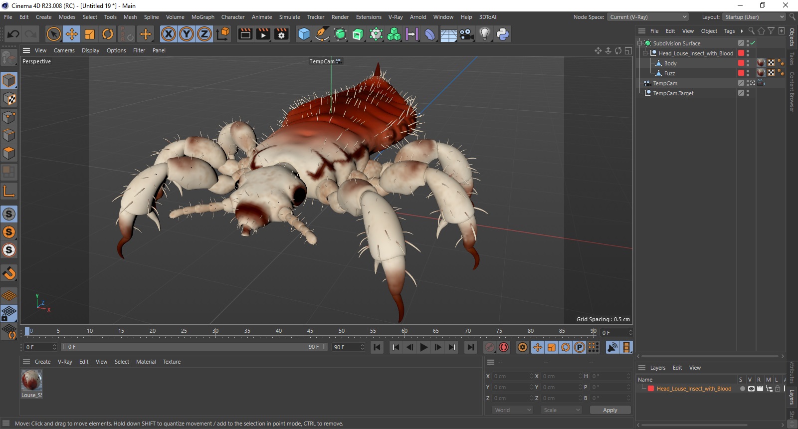 3D Head Louse Insect with Blood model