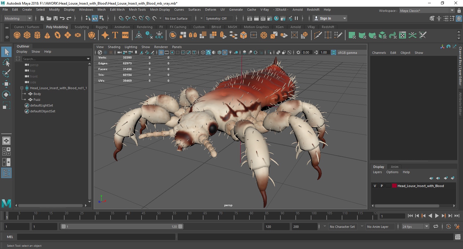 3D Head Louse Insect with Blood model