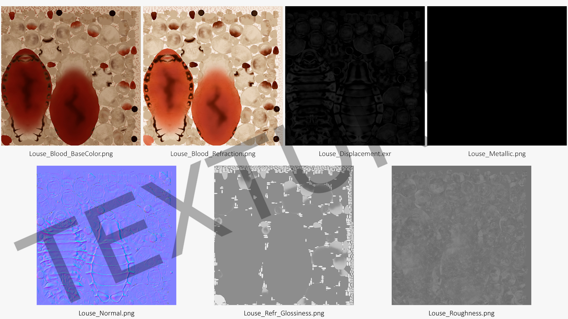 3D Head Louse Insect with Blood model