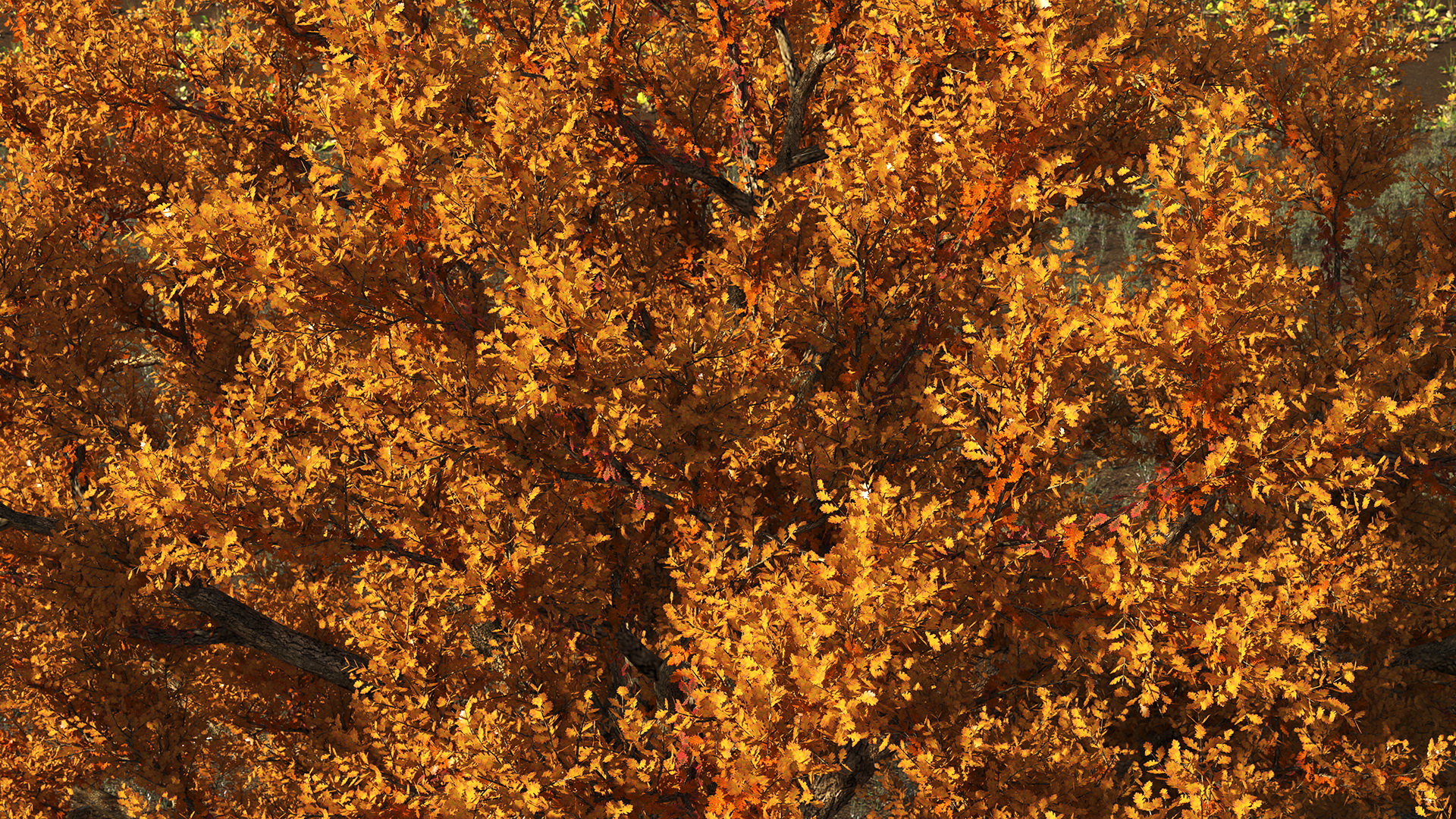 3D model Autumn Oak Tree