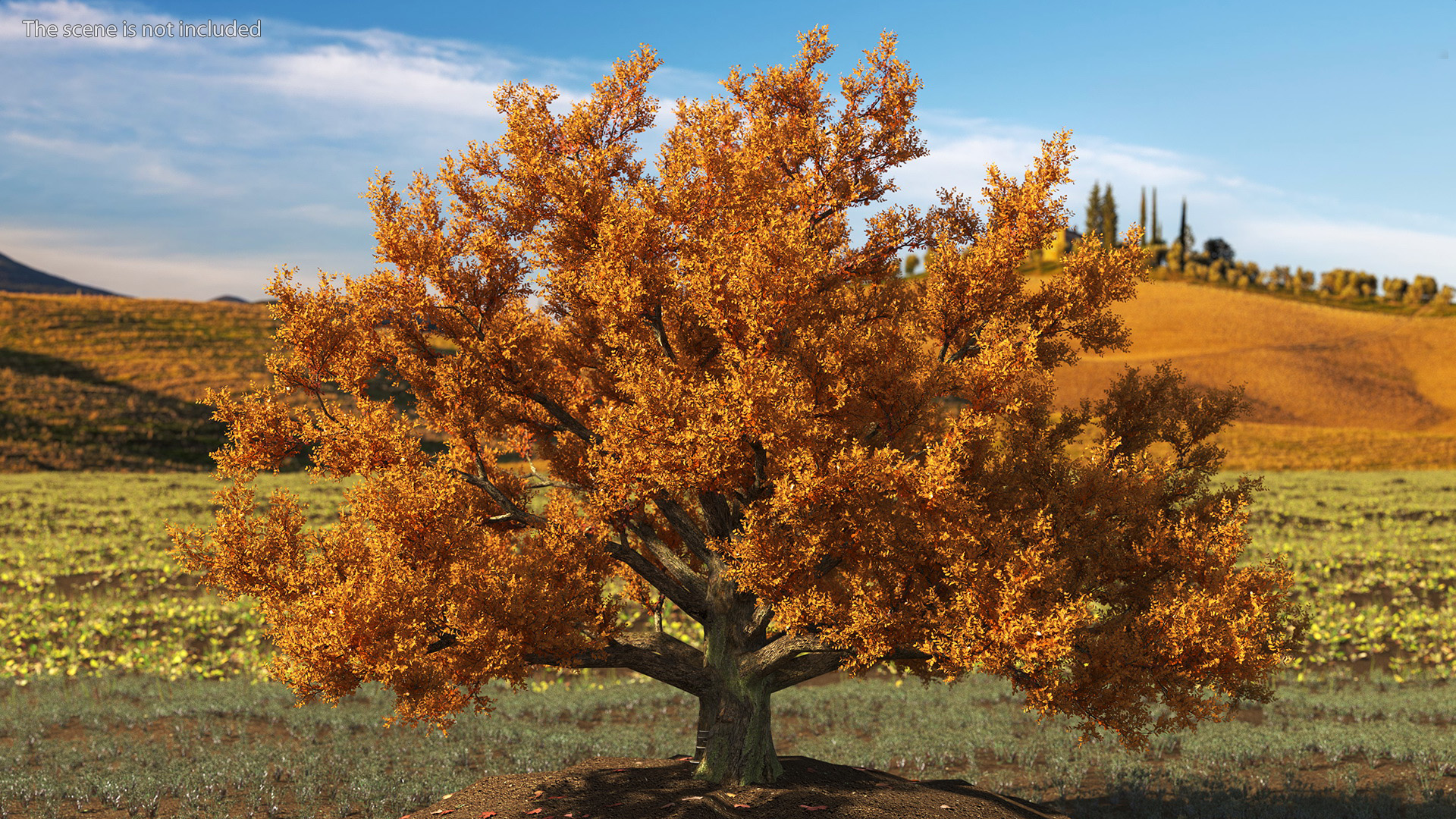 3D model Autumn Oak Tree