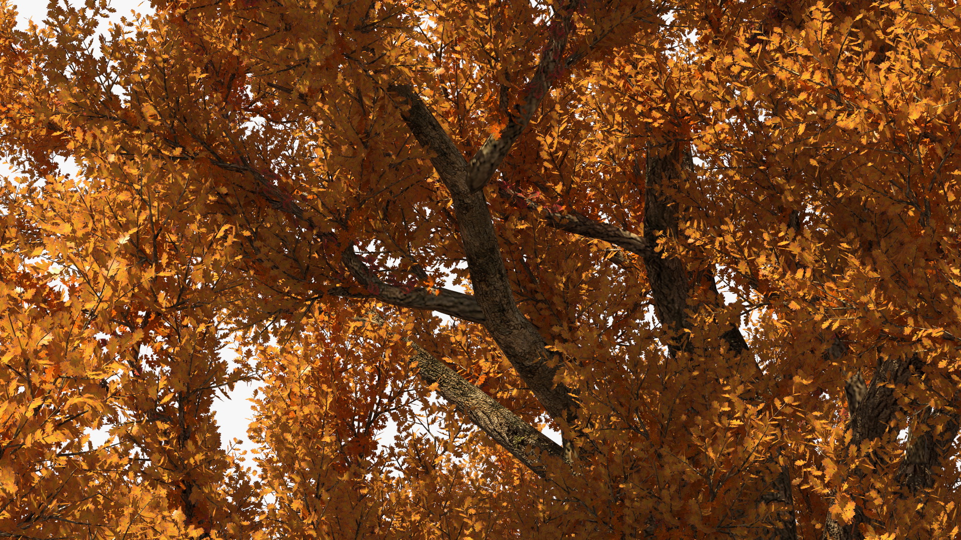 3D model Autumn Oak Tree