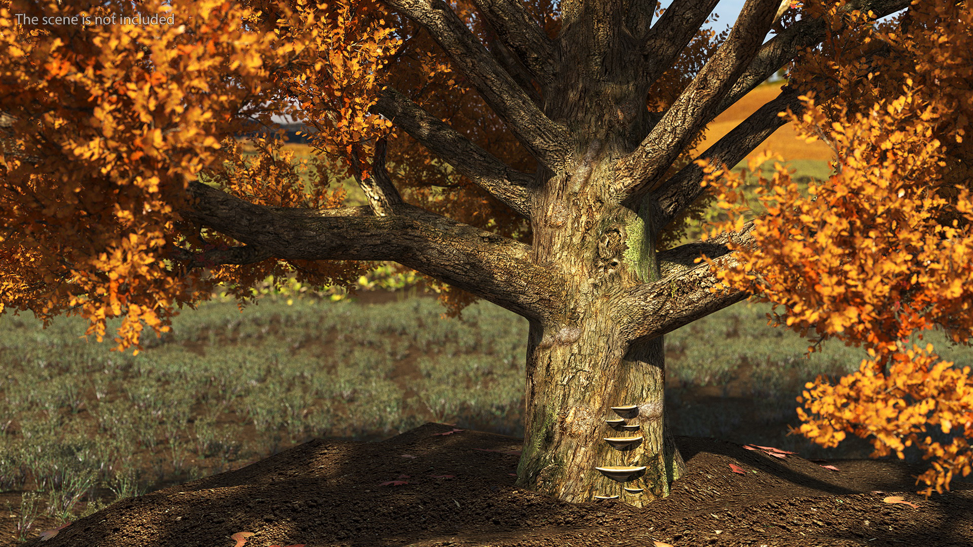 3D model Autumn Oak Tree