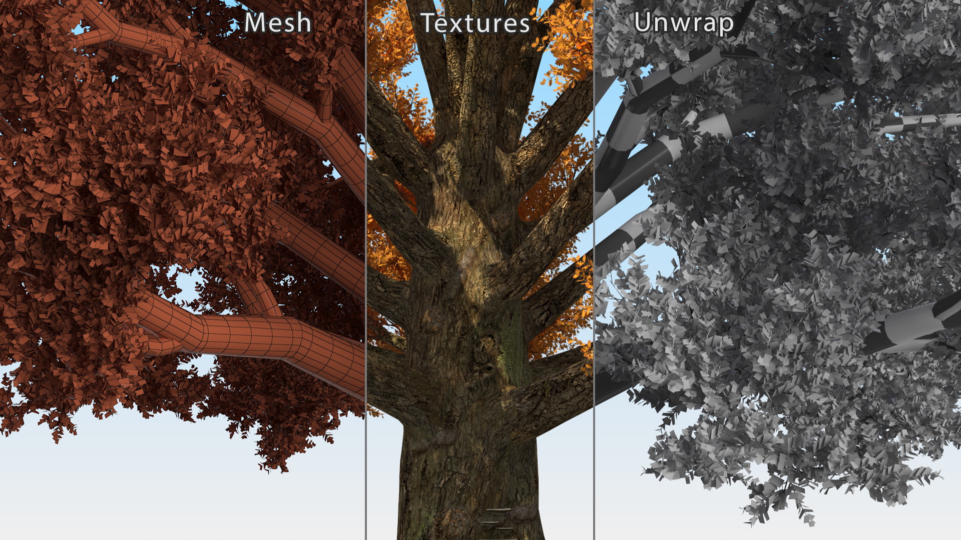 3D model Autumn Oak Tree