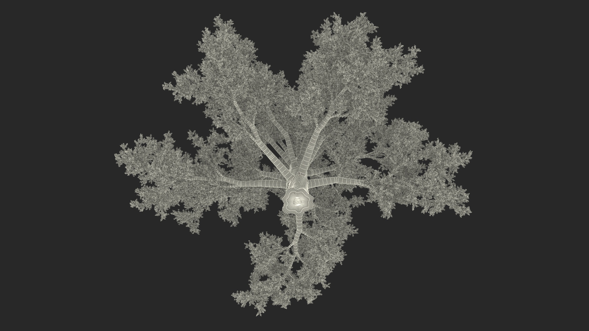 3D model Autumn Oak Tree