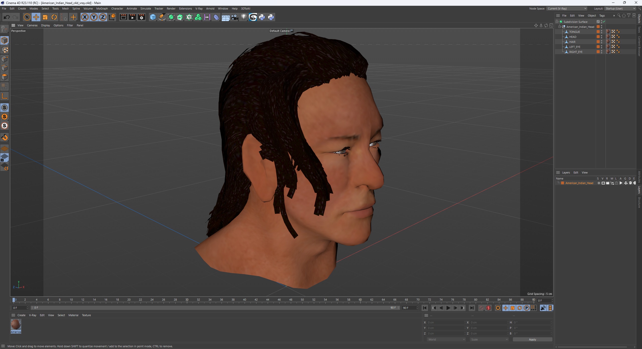 3D model American Indian Head