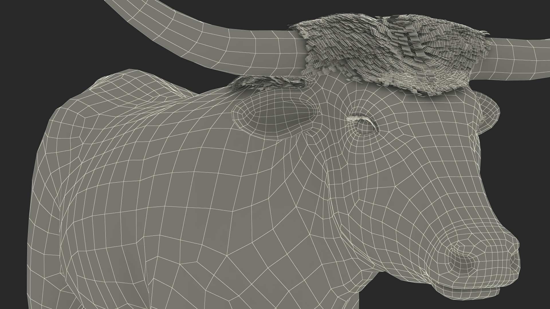 3D Texas Longhorn Mottled Brown model