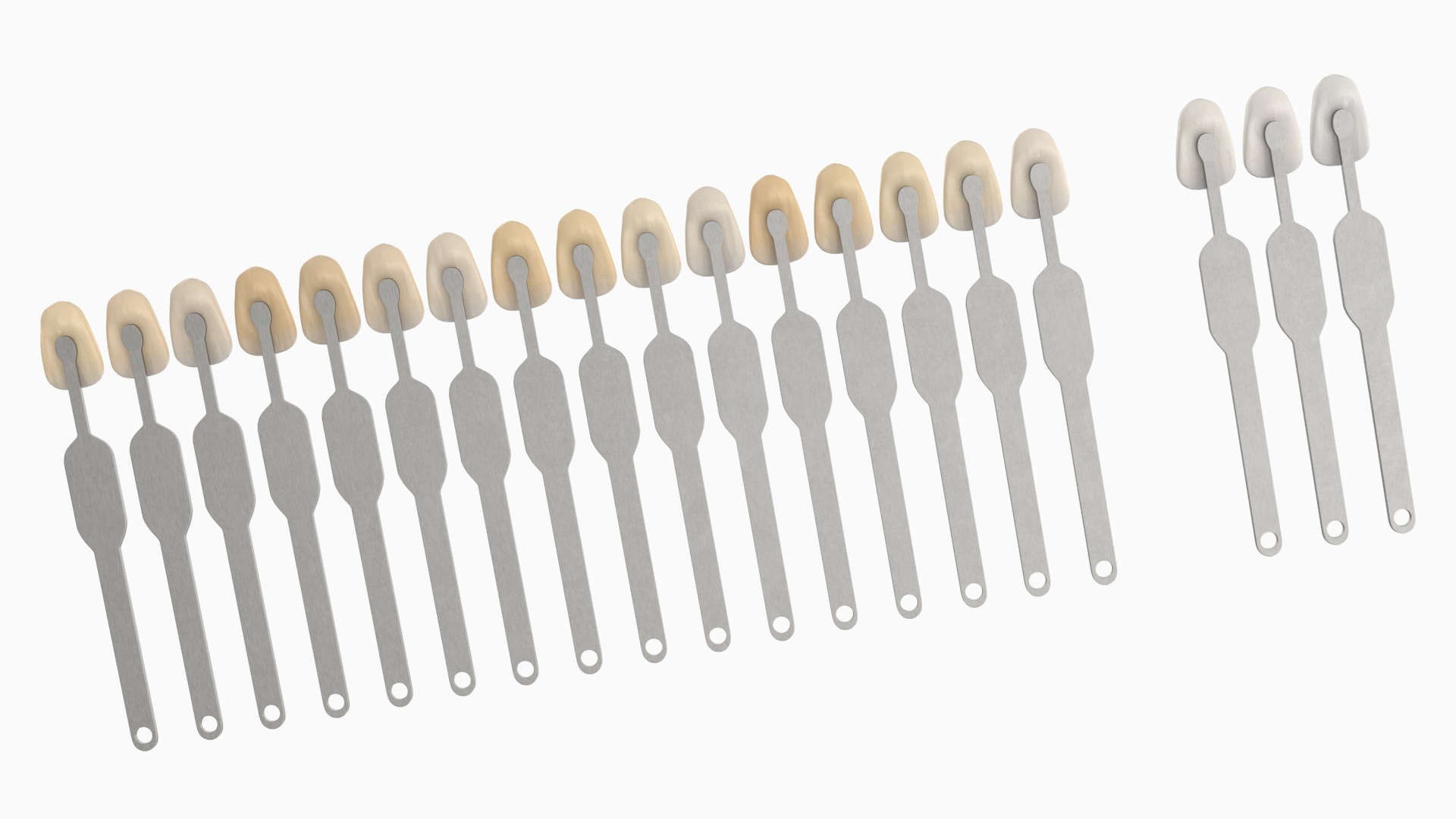 3D Teeth Shade Guide with Bleached Shades model