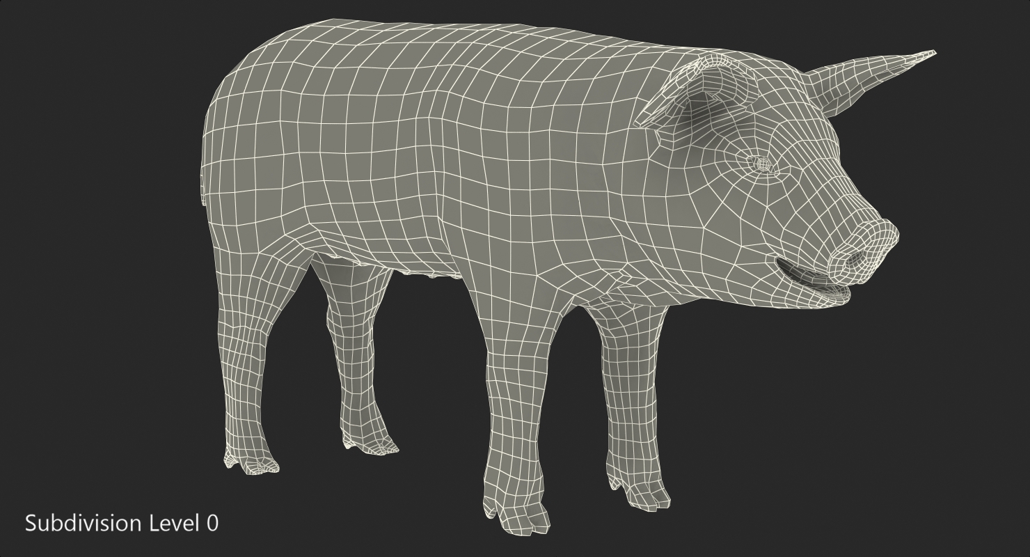 Hampshire Pig Piglet with Fur 3D model