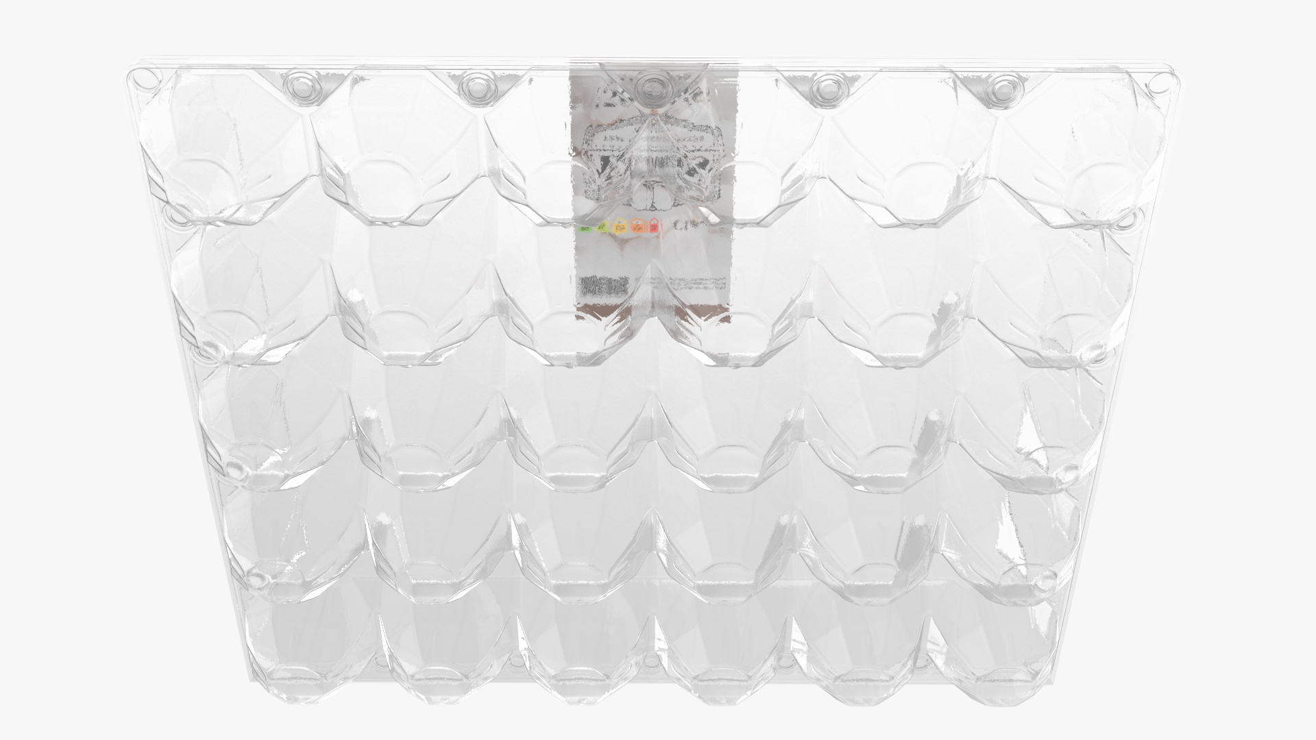 Empty Transparent Container for 30 Chicken Eggs 3D