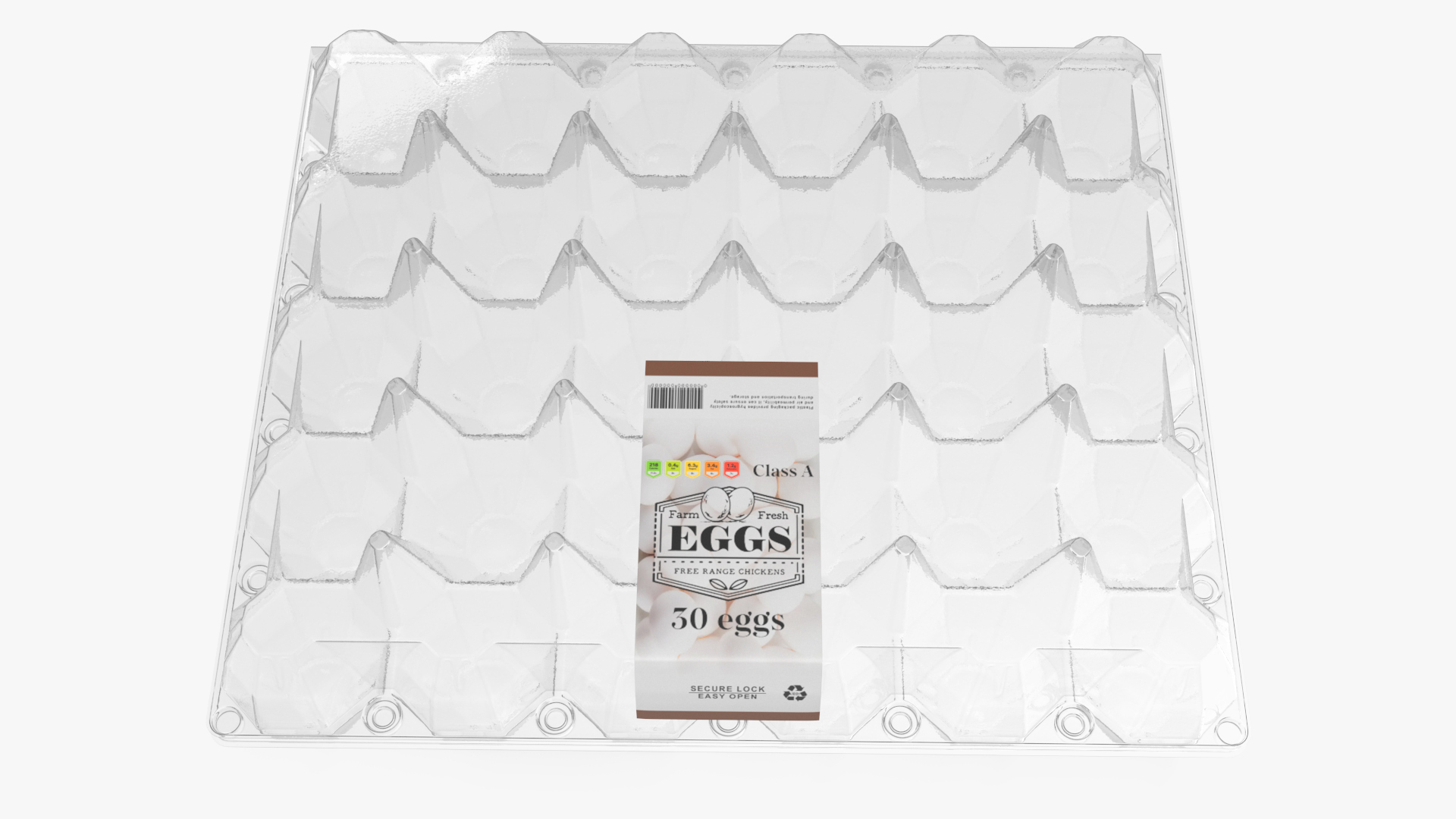 Empty Transparent Container for 30 Chicken Eggs 3D