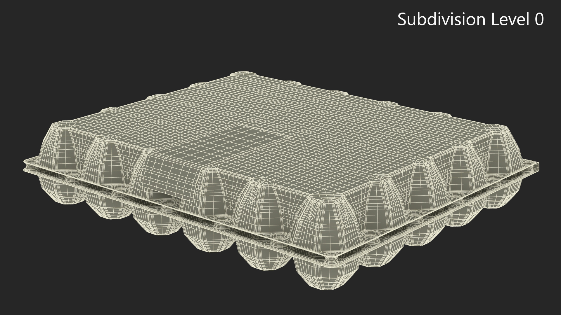Empty Transparent Container for 30 Chicken Eggs 3D