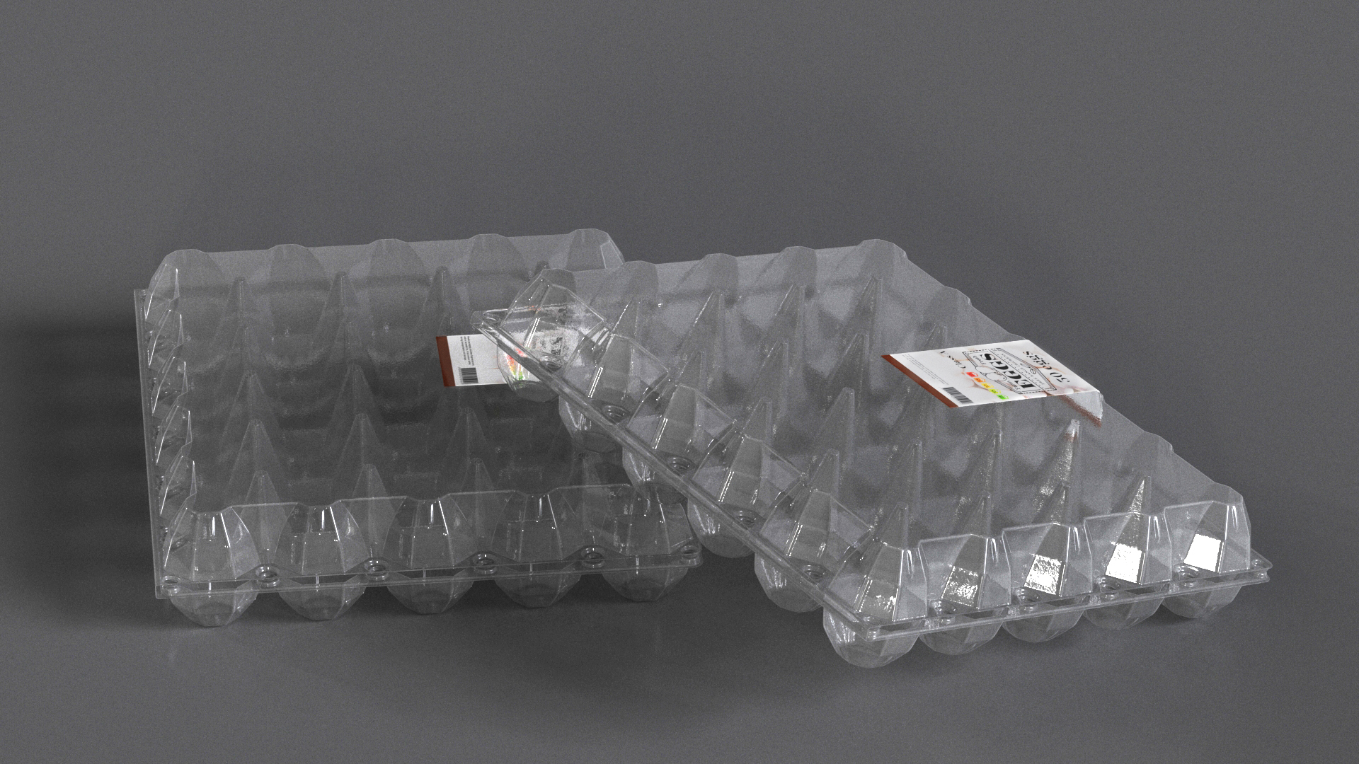 Empty Transparent Container for 30 Chicken Eggs 3D