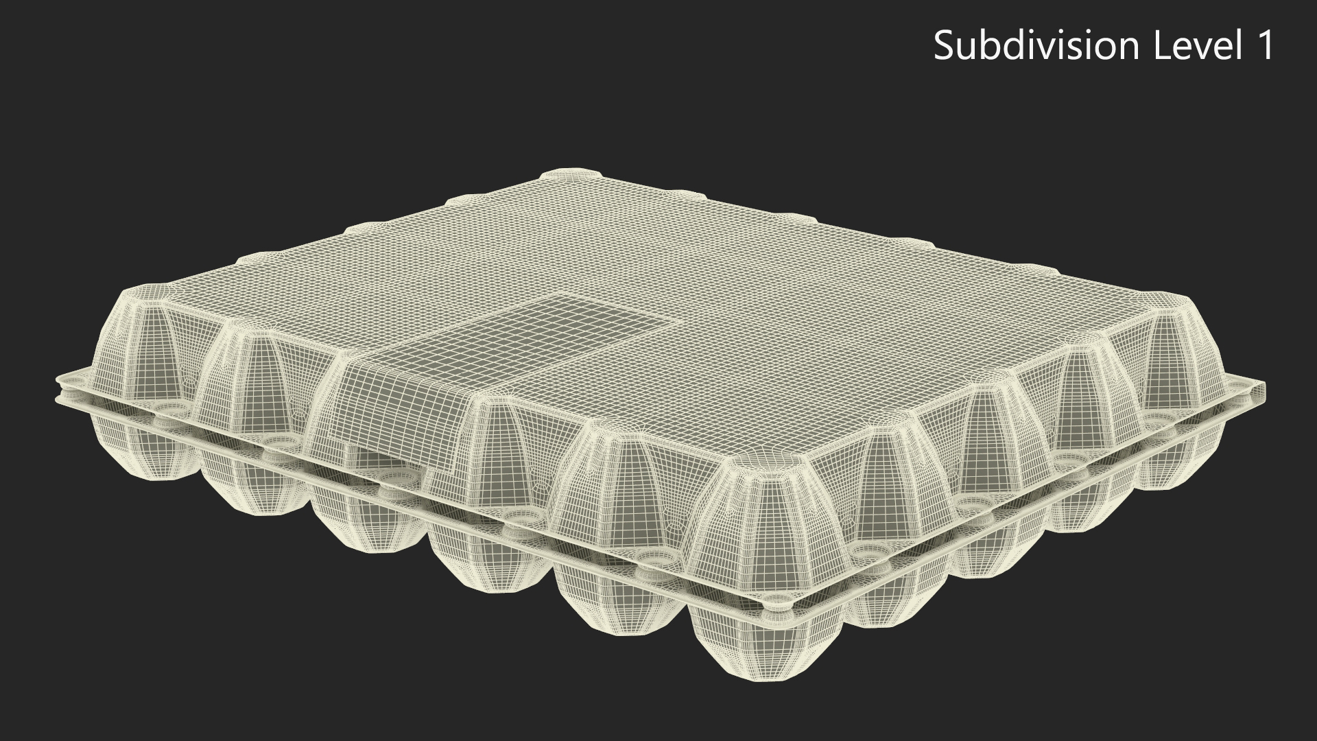 Empty Transparent Container for 30 Chicken Eggs 3D