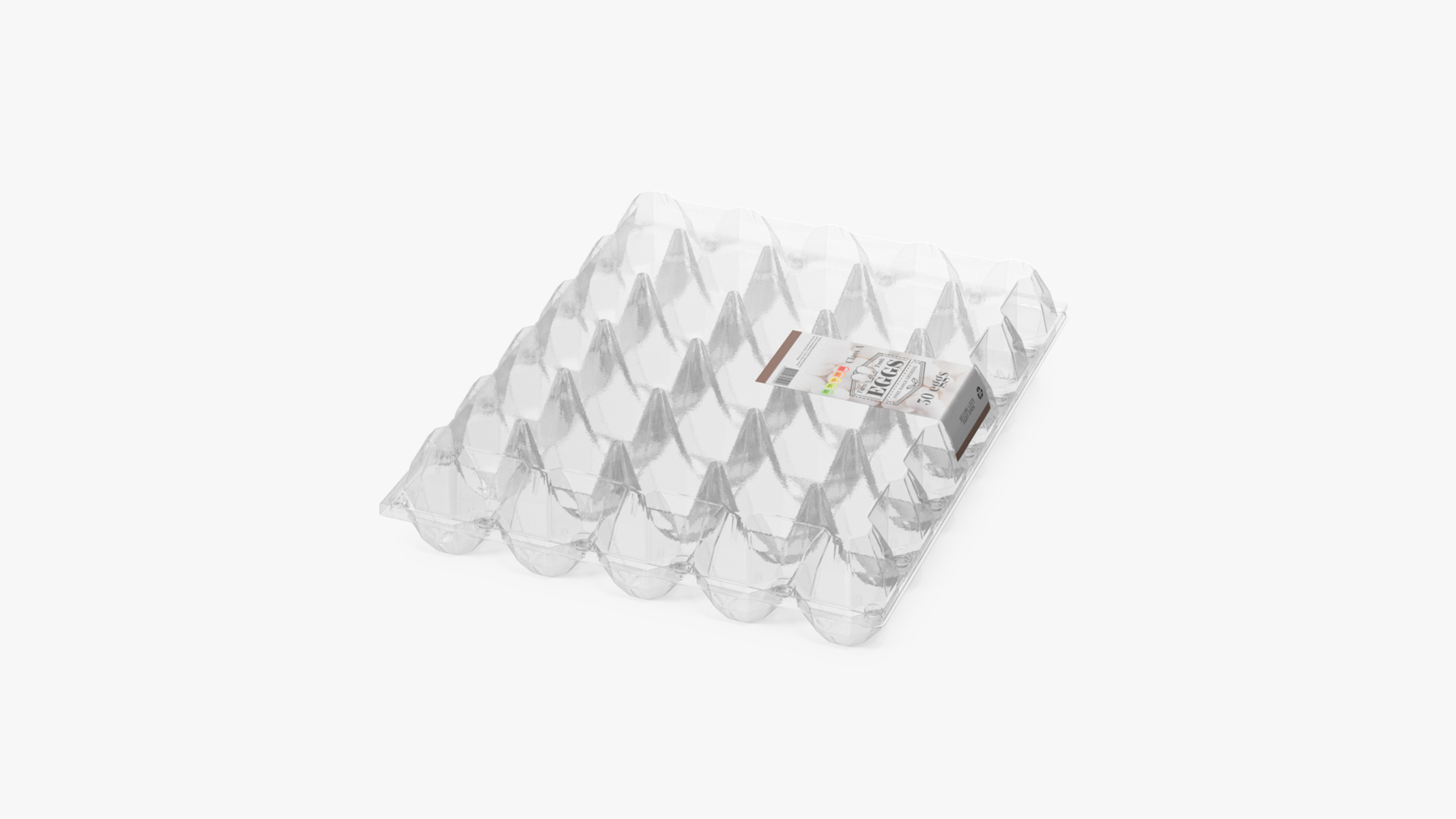Empty Transparent Container for 30 Chicken Eggs 3D
