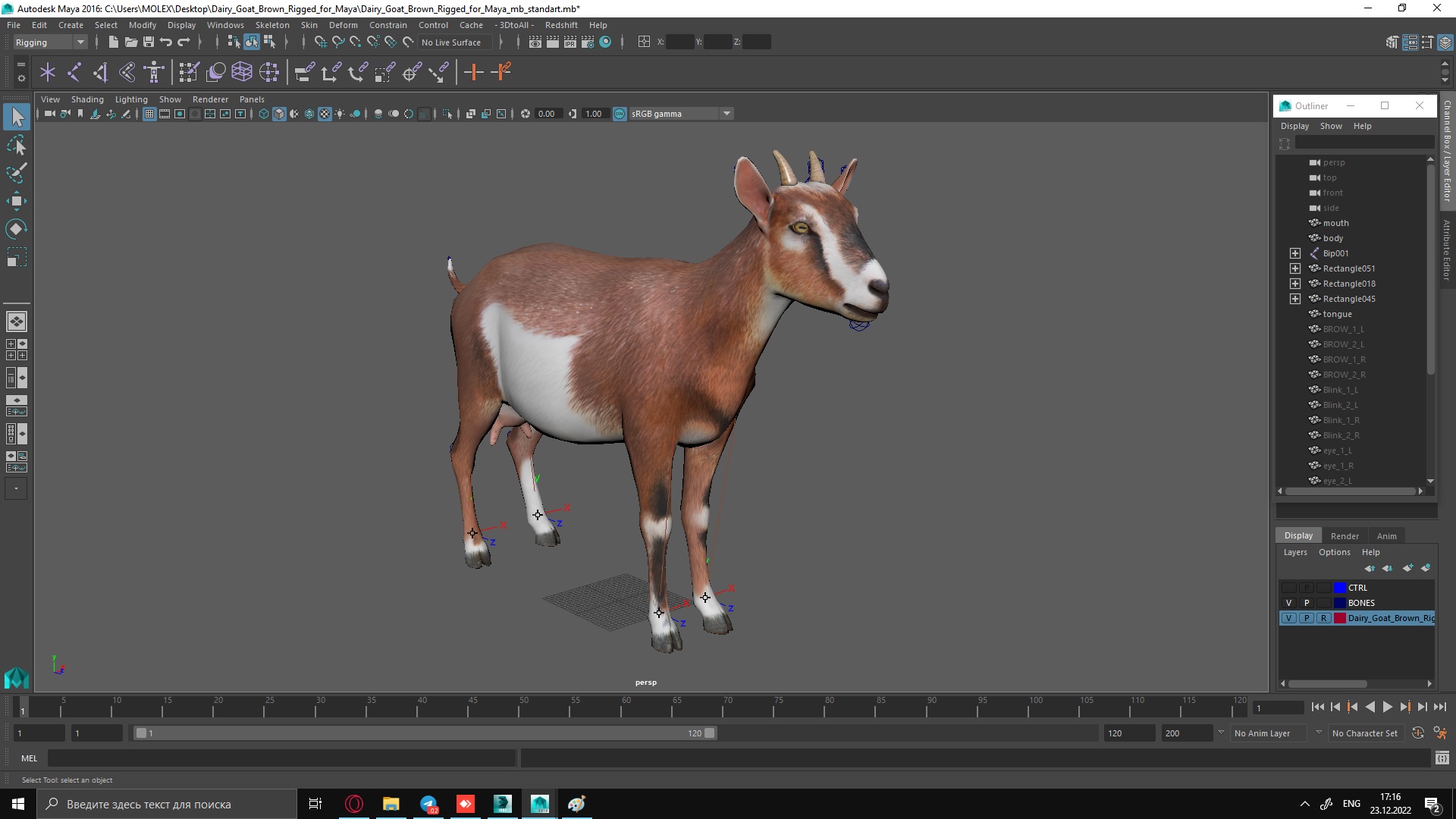 Dairy Goat Brown Rigged for Maya 3D