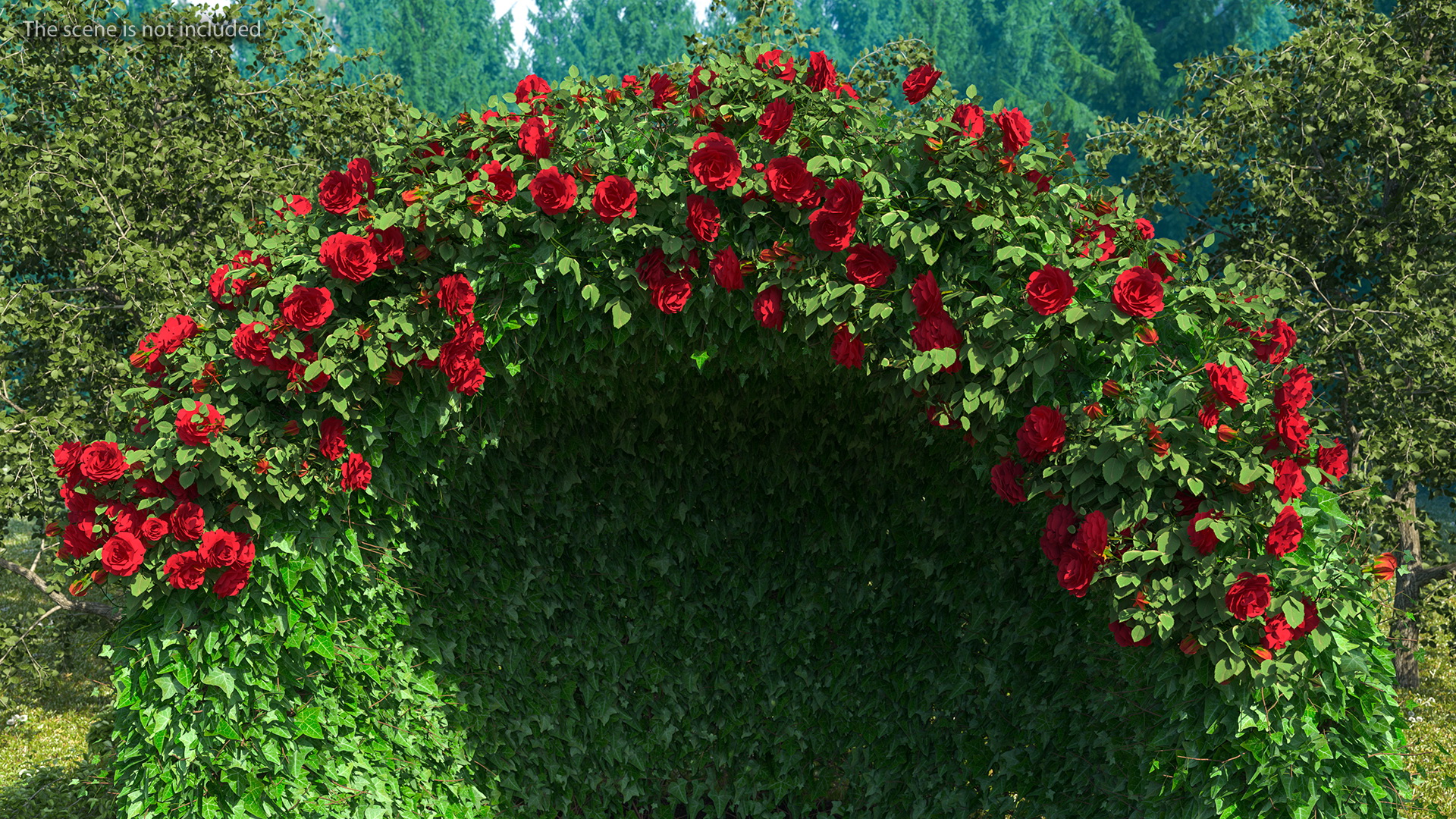 3D Rose Garden Gazebo model