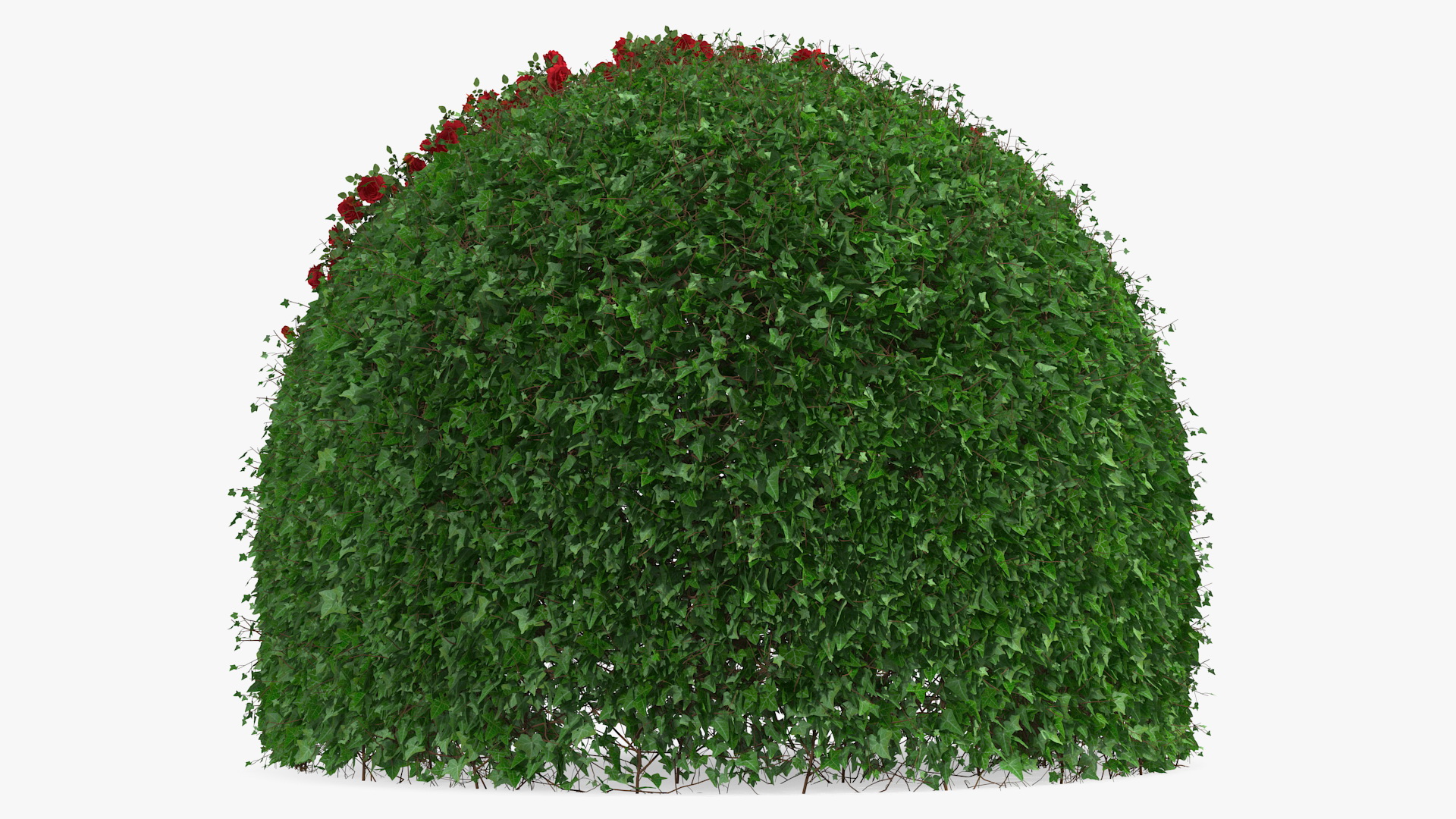 3D Rose Garden Gazebo model